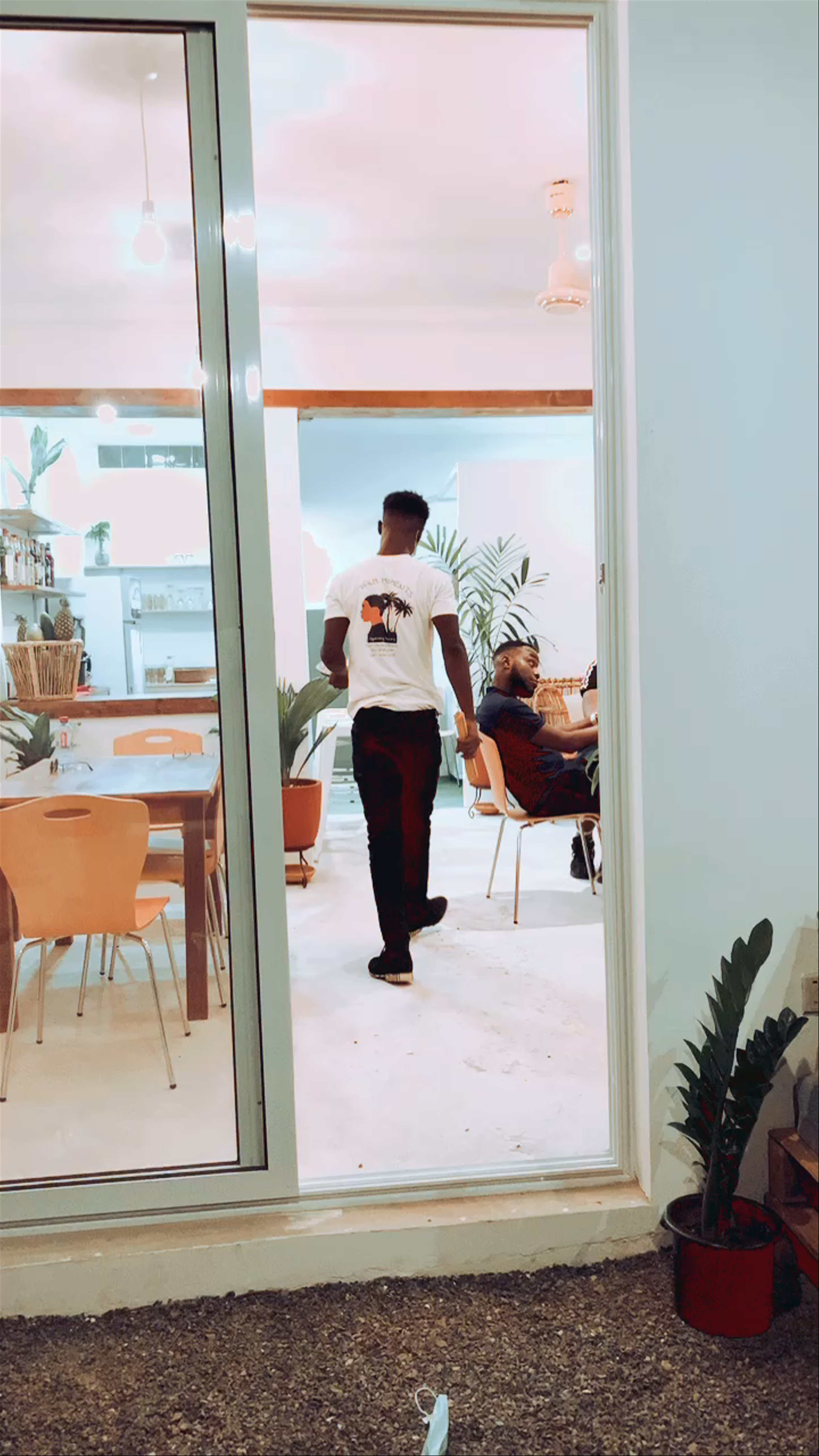 Palm Moments Asylum Down