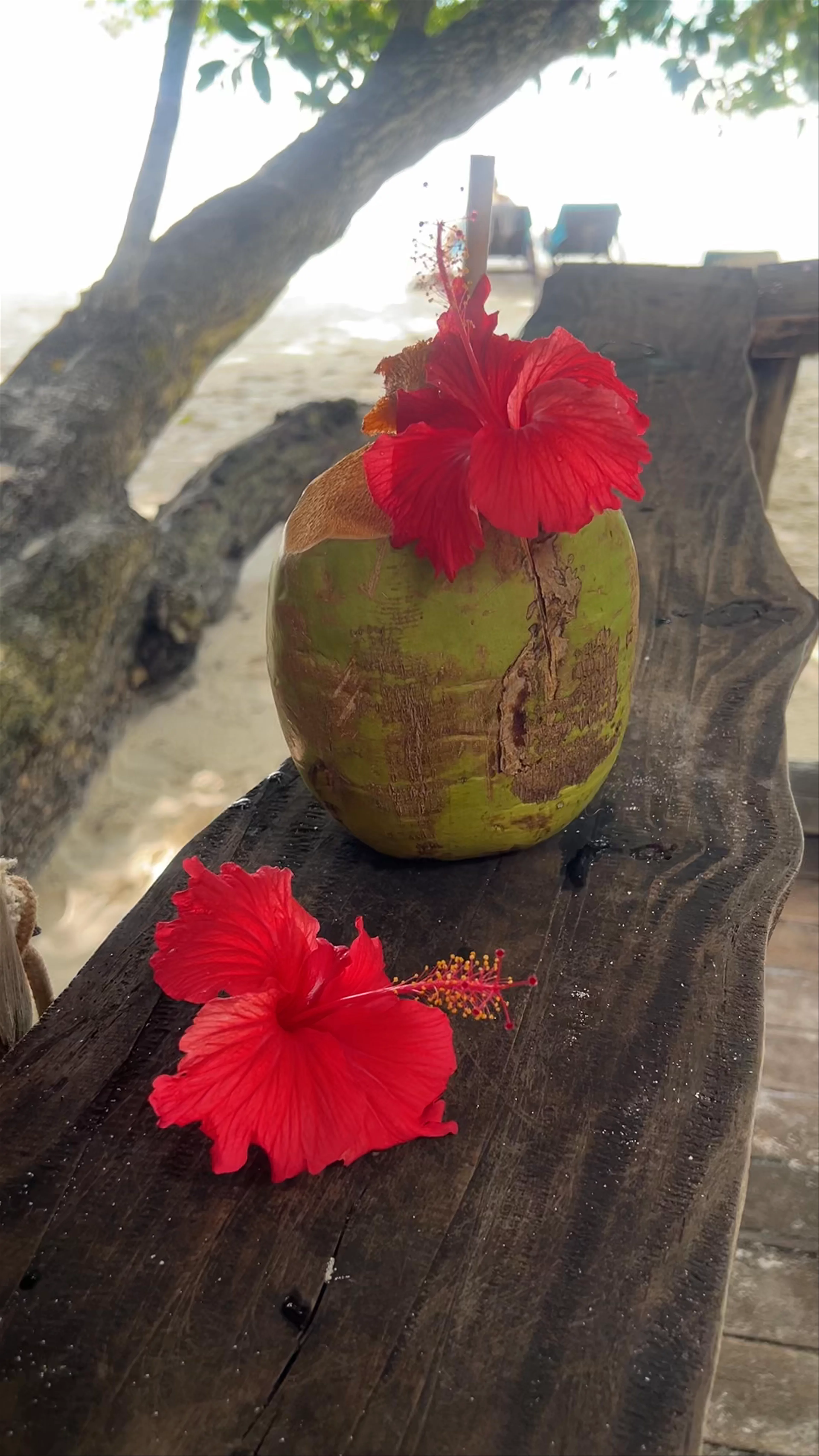 Kokoloko Beach Bar, Anse Lazio