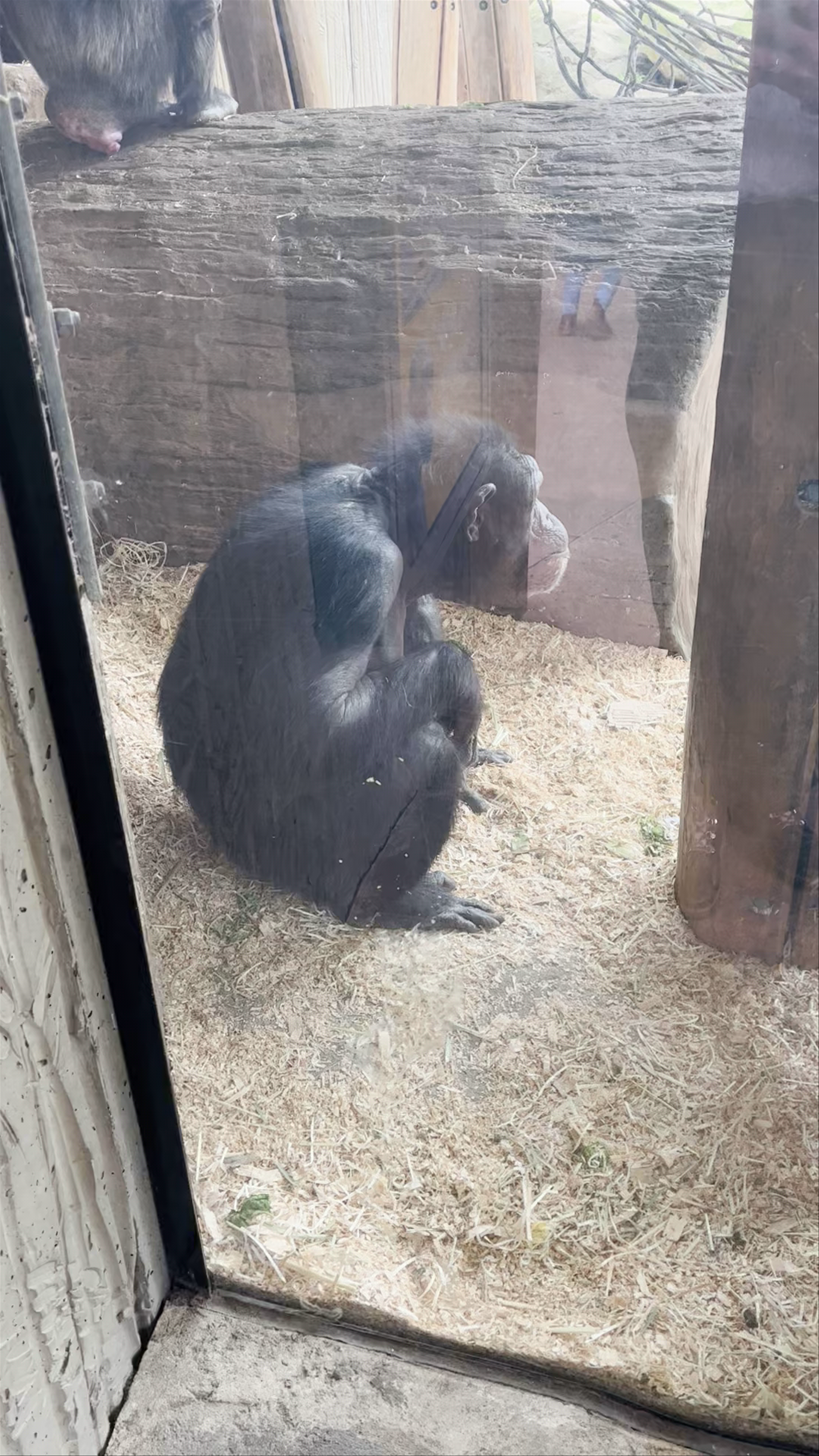 Taronga Zoo Sydney