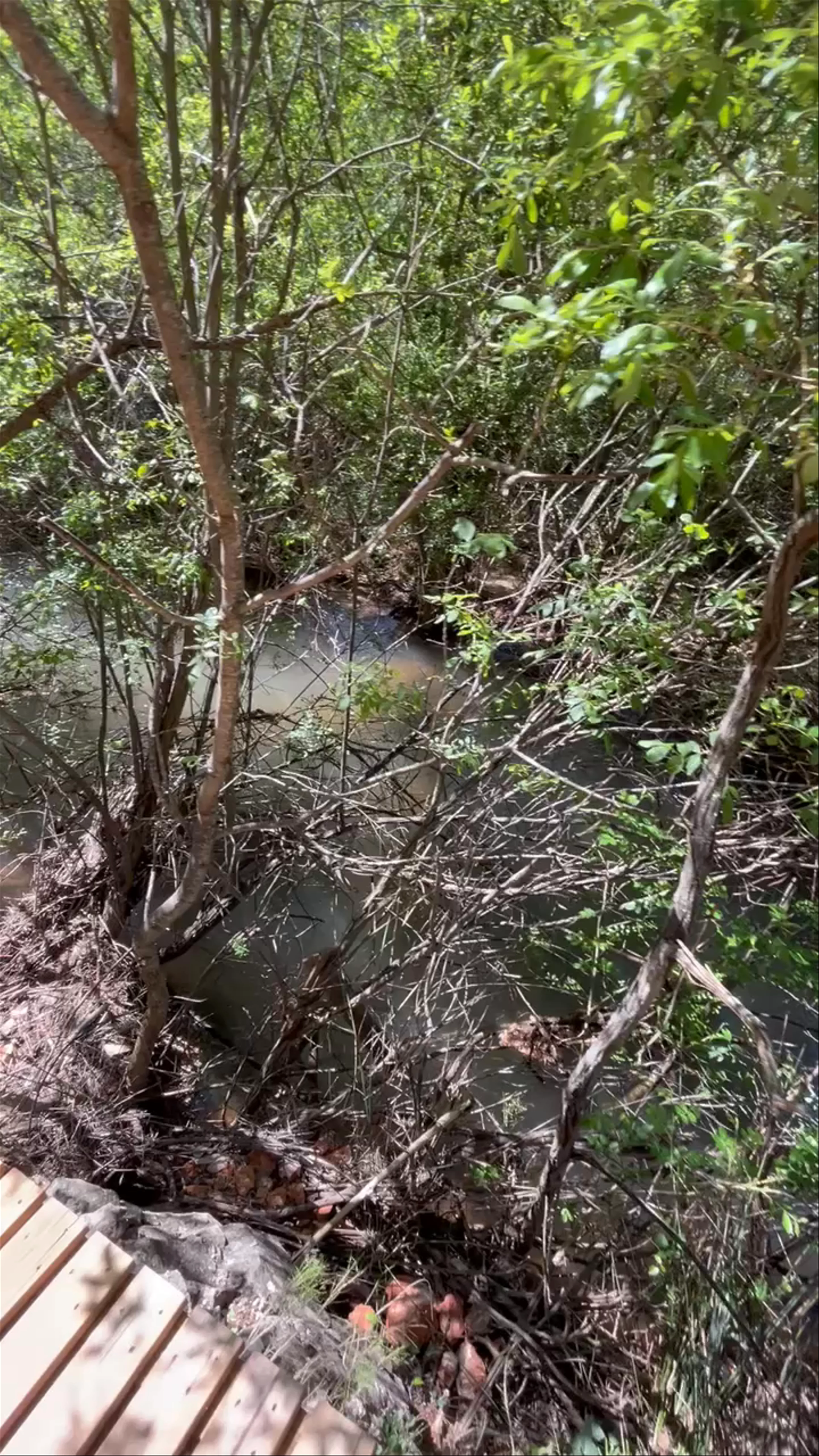 Río Bogarra