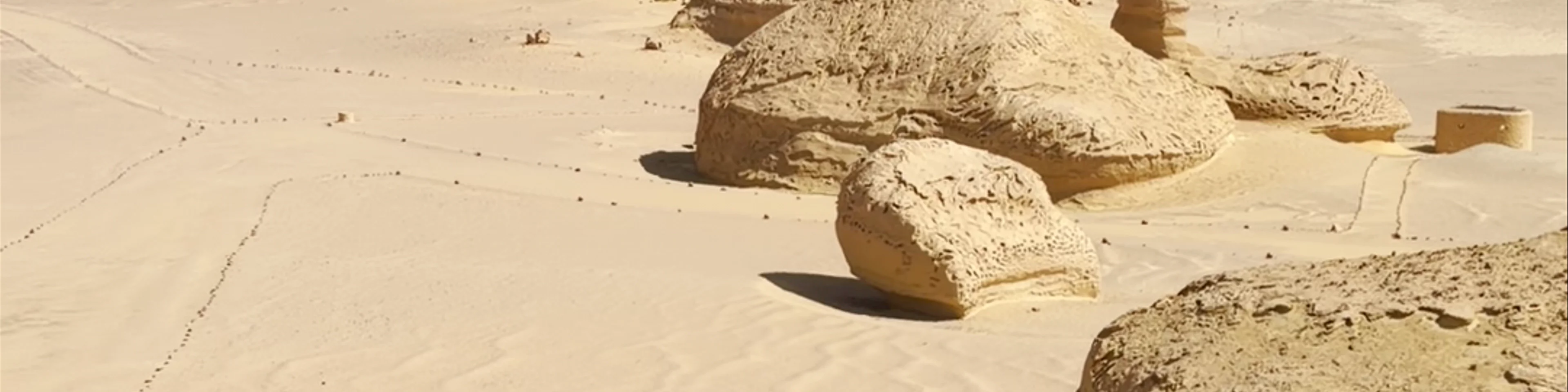 Wadi Hitan National Park