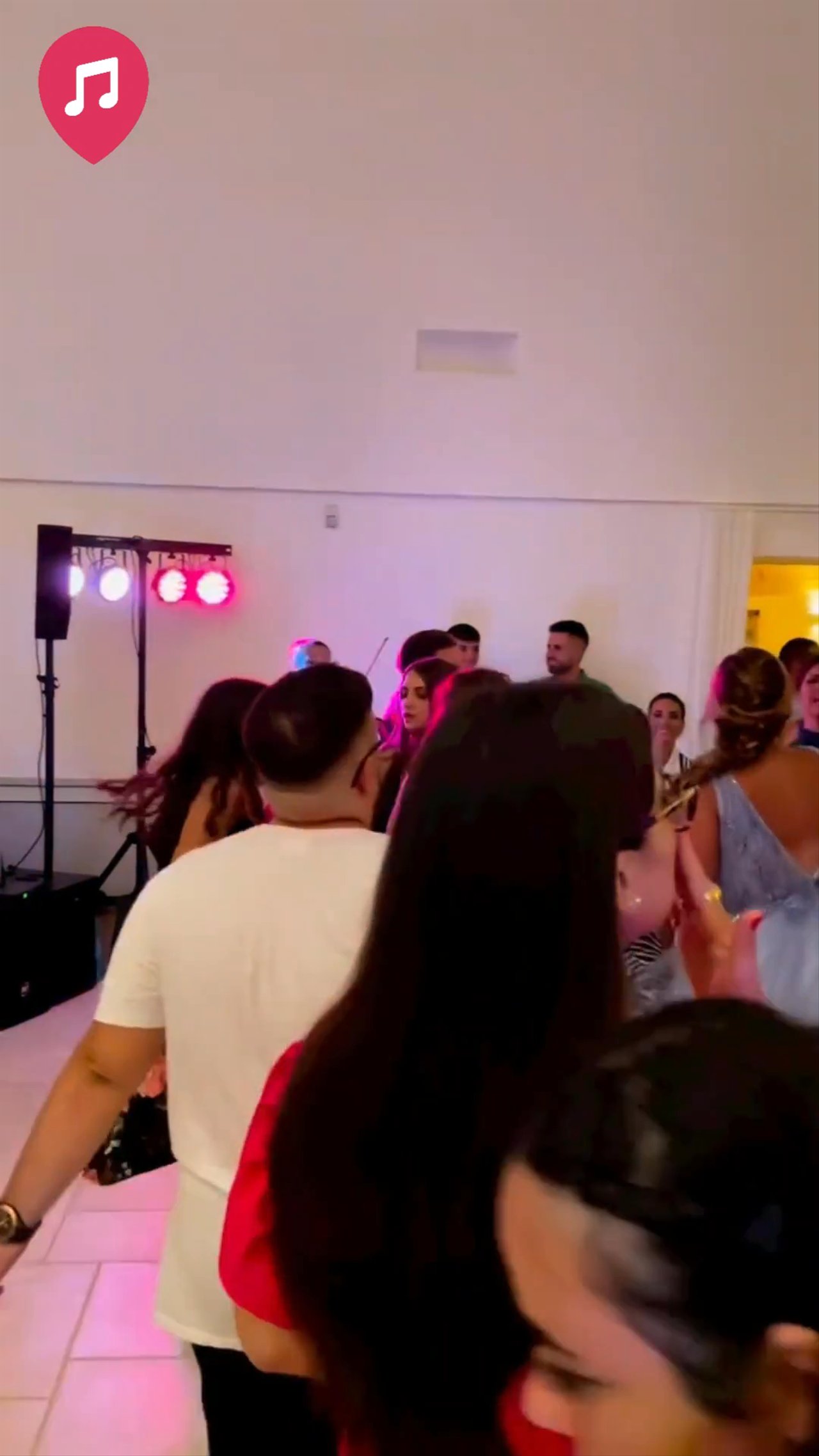 Violin & Vibes - Live Showreel 2025 - video 2