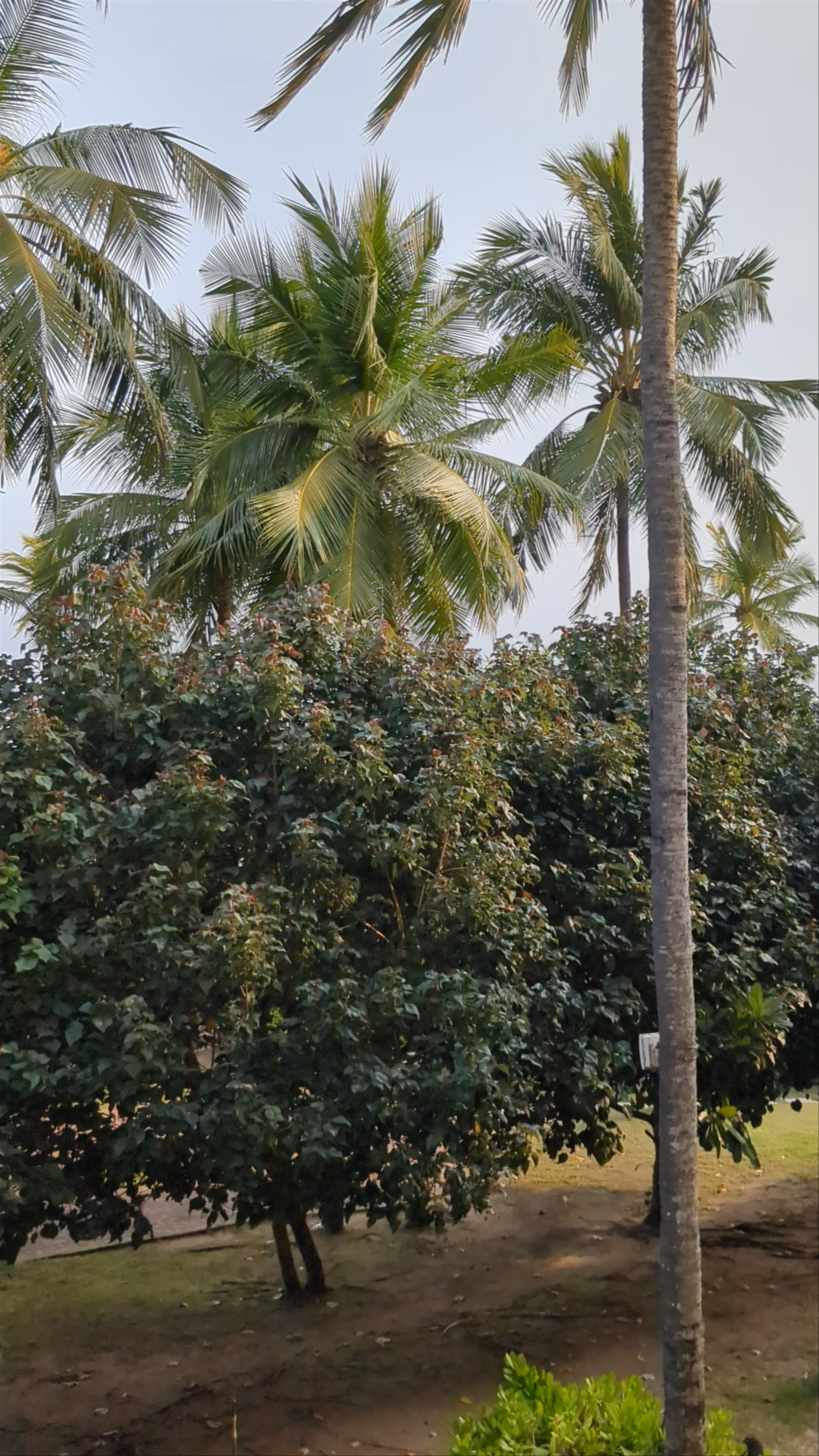 Shangri-La Hambantota