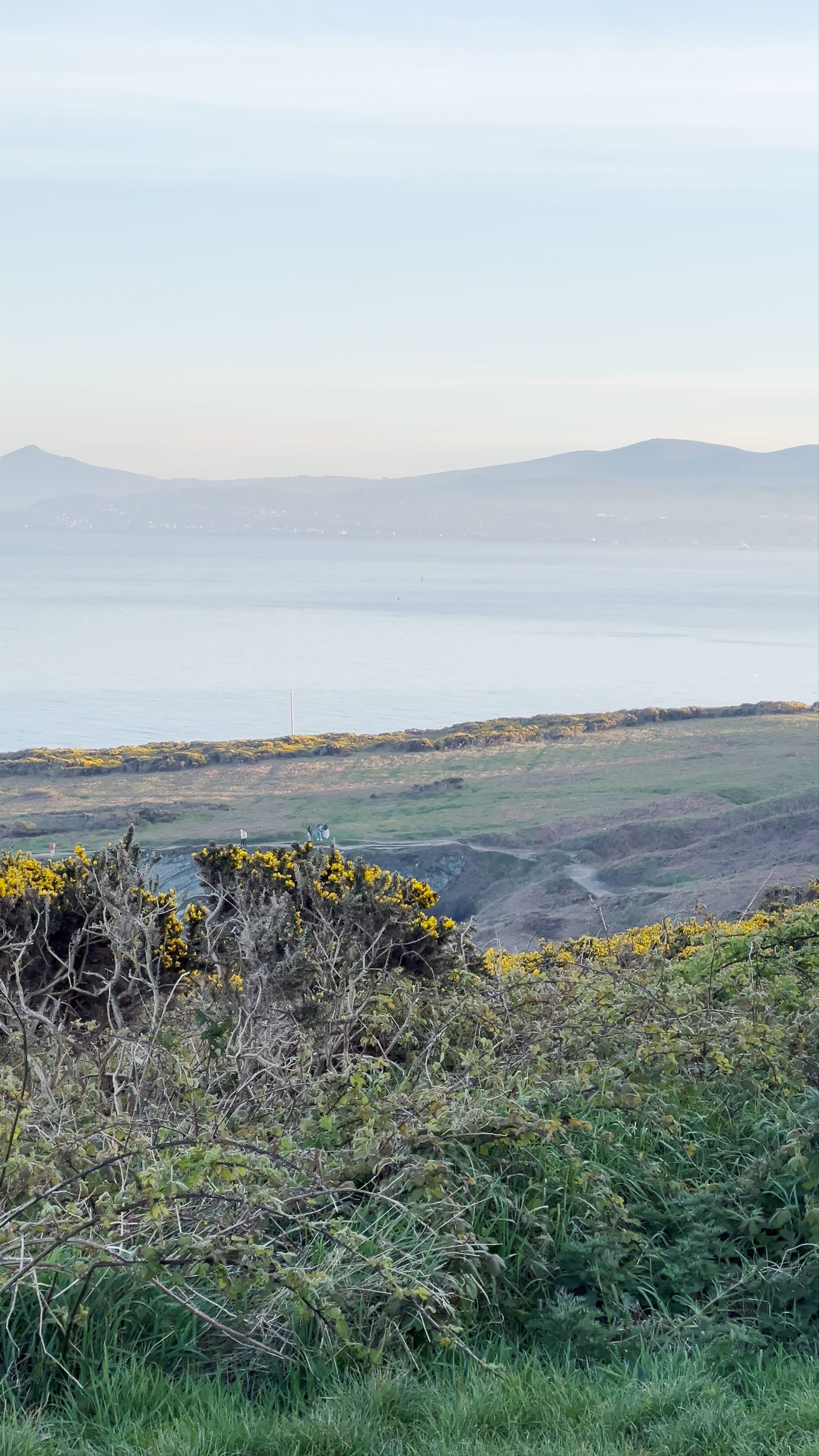 The Summit - Howth