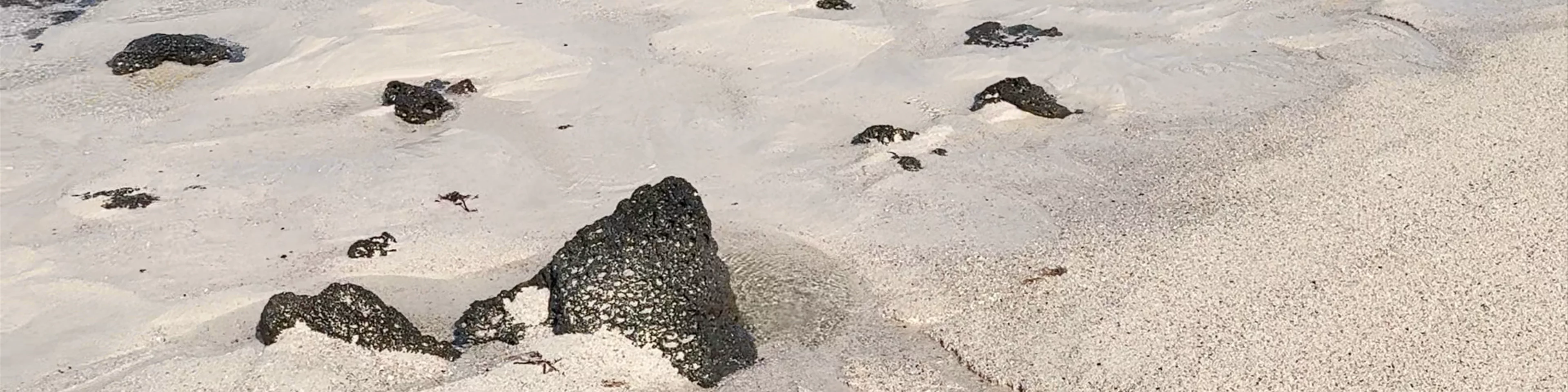 Playa Los Charcos III