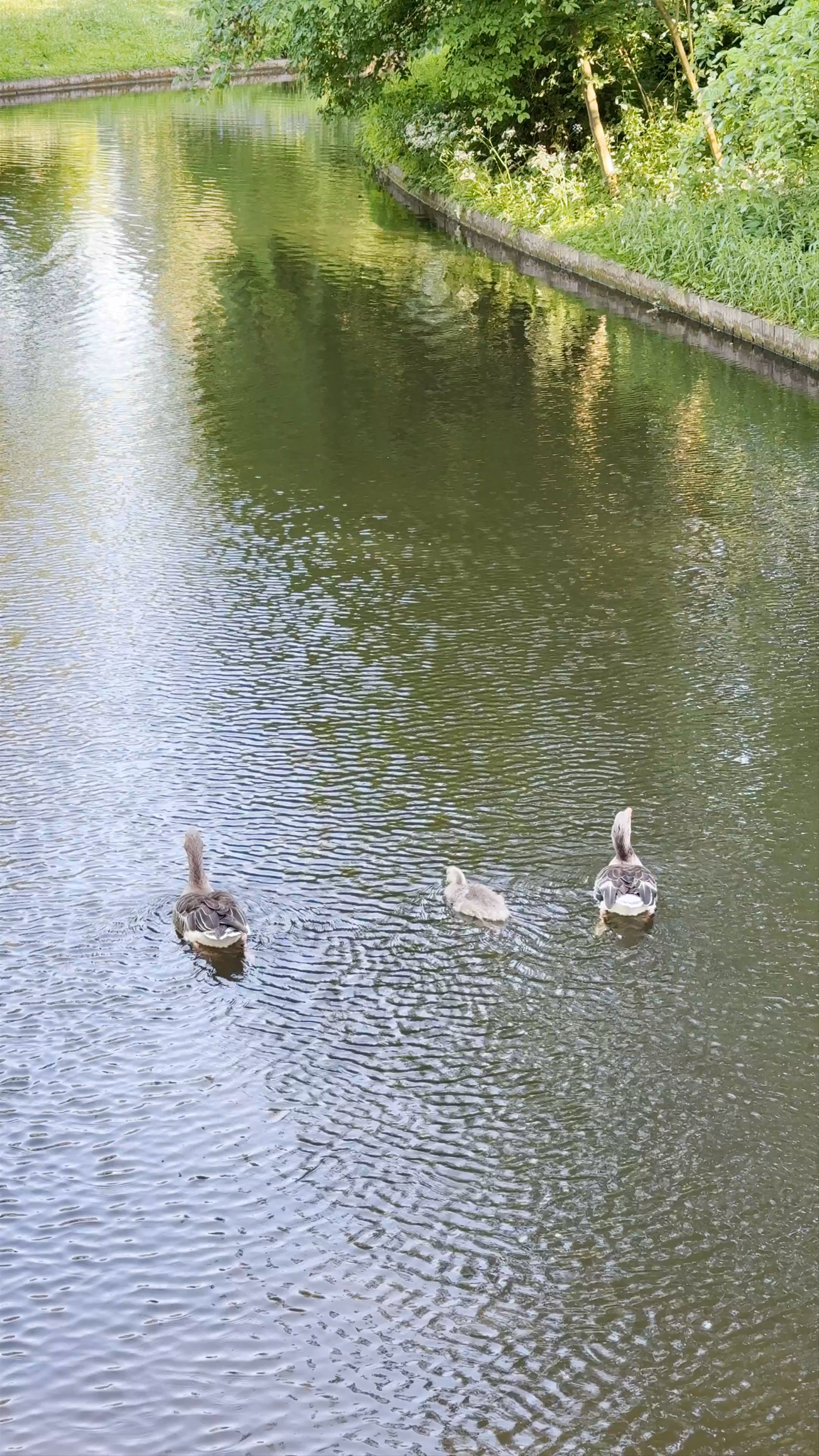 Frederiksberg Gardens
