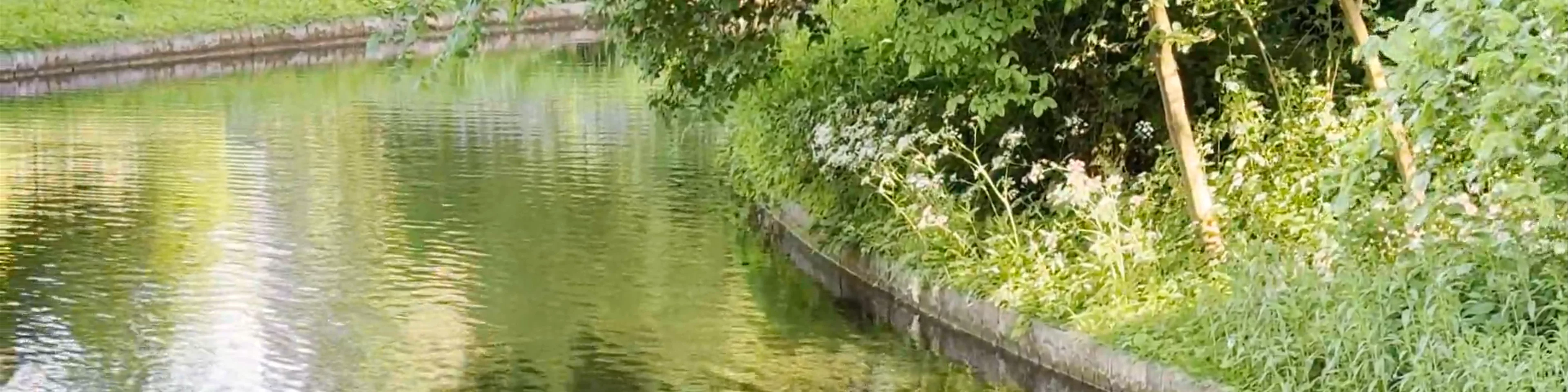 Frederiksberg Gardens