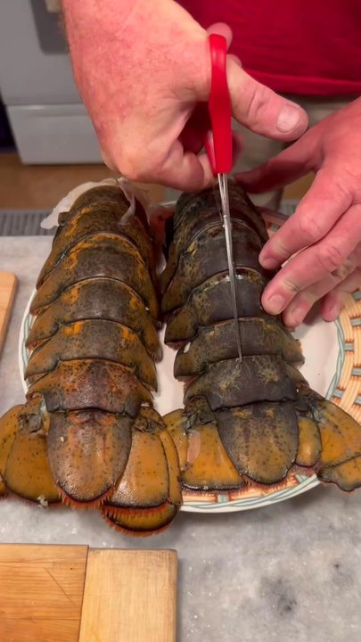 Lotsa Lobster - Seafood Markets Near Me - Sarasota, Florida