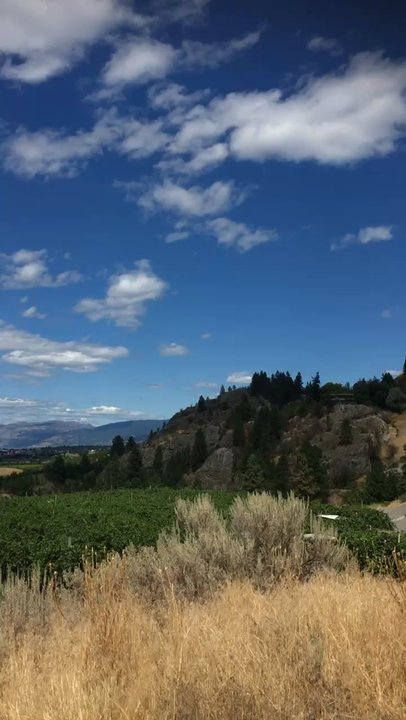 Pentâge Winery - View from Pentâge winery tasting room and wine shop. - Wine Tasting Room Near Me - Penticton, British Columbia