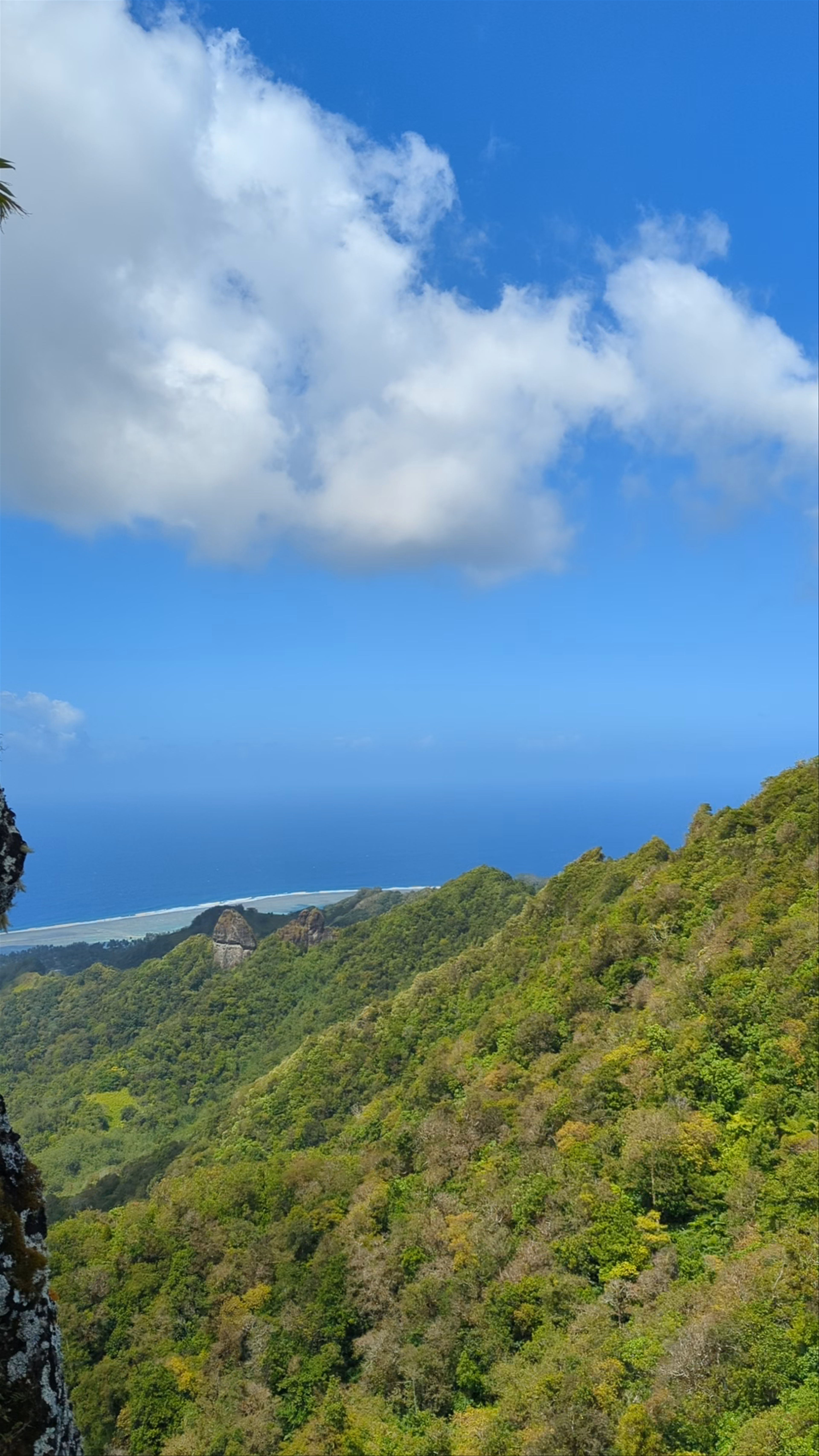 Te Rua Manga (The Needle)