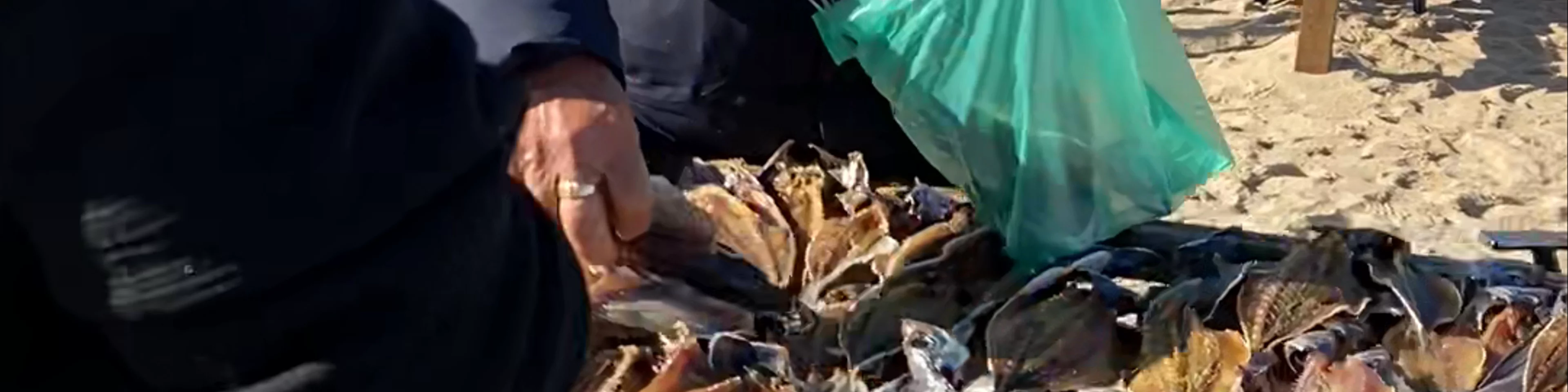 Seca do Peixe