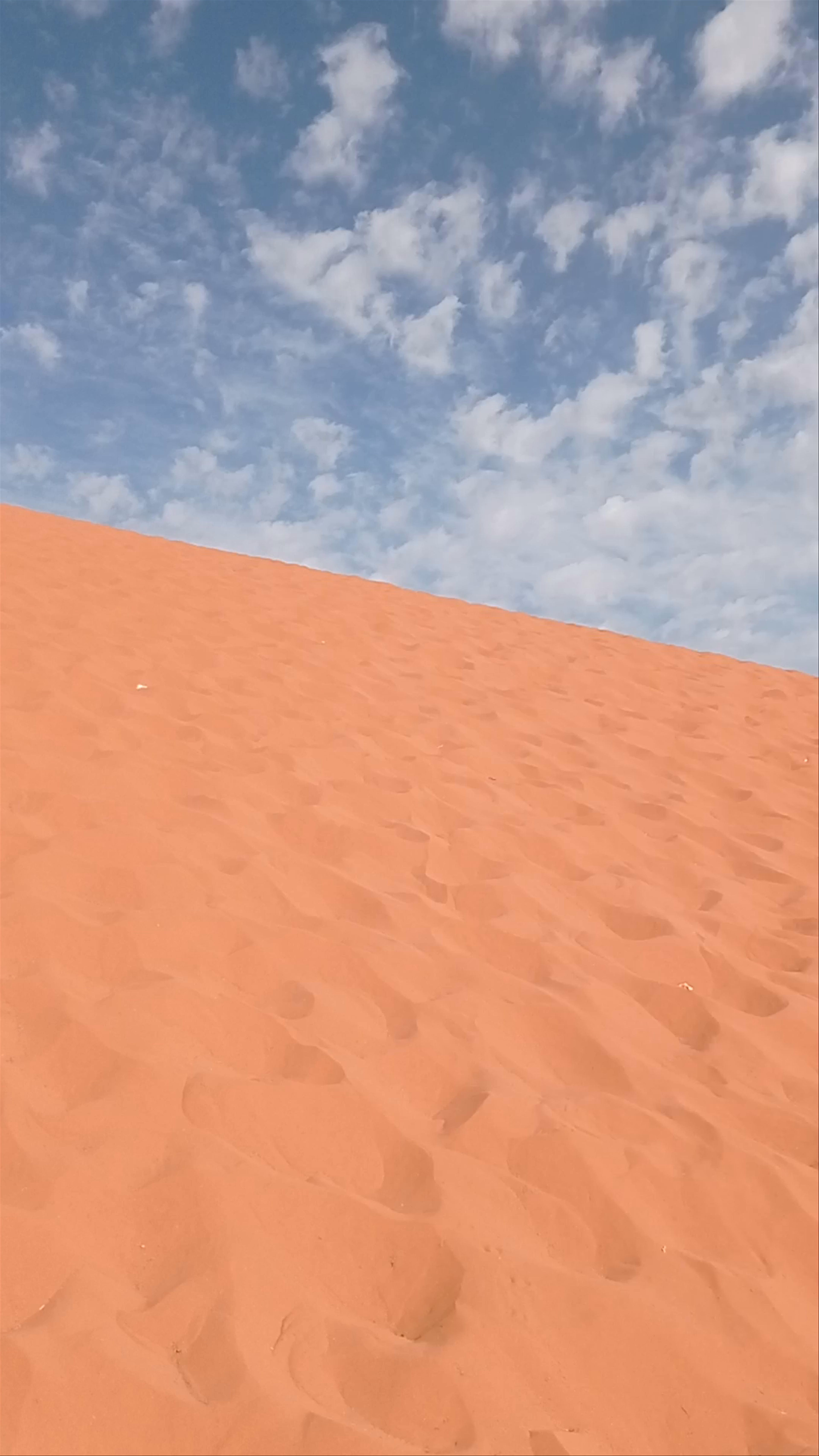 Wadi Rum Protected Area
