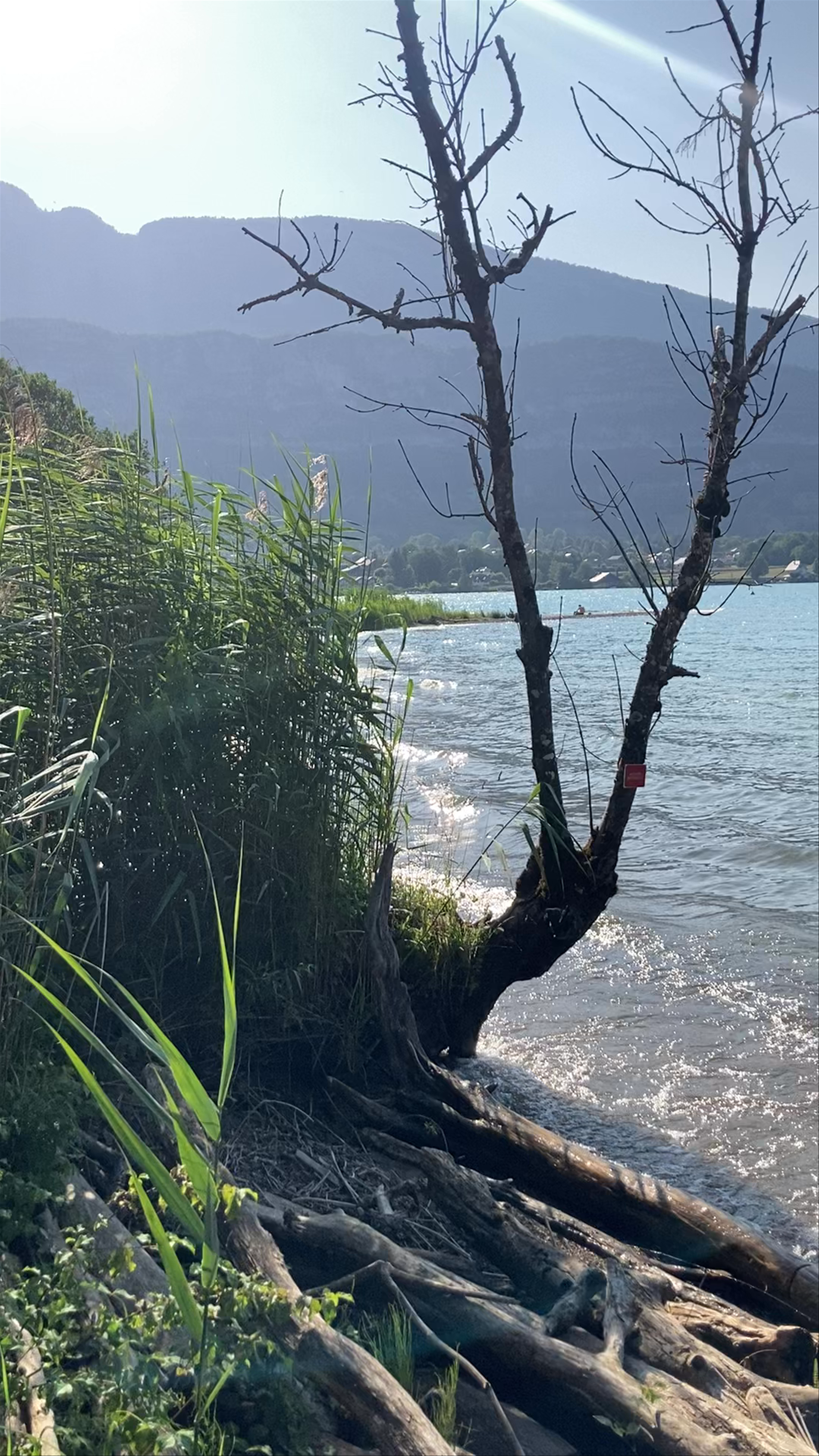 Réserve naturelle nationale du Bout du Lac d'Annecy