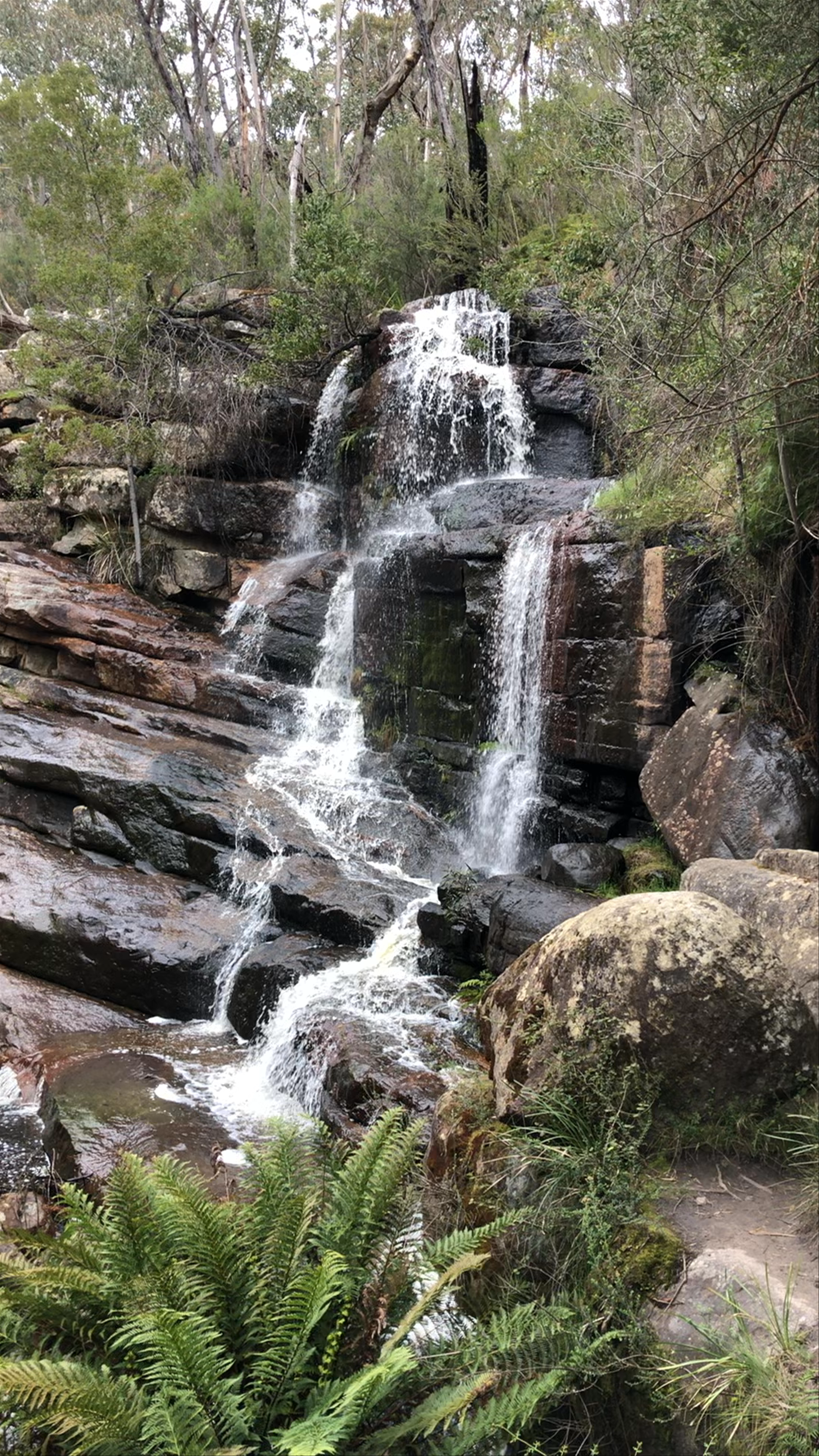 Serene Escape at Splitters Falls in the Grampians
