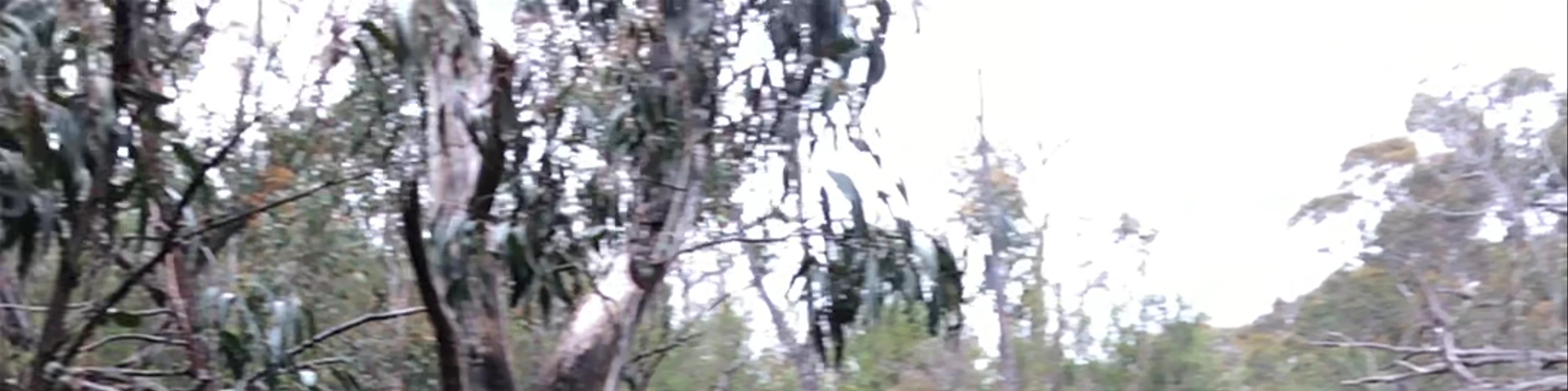 Splitters Falls