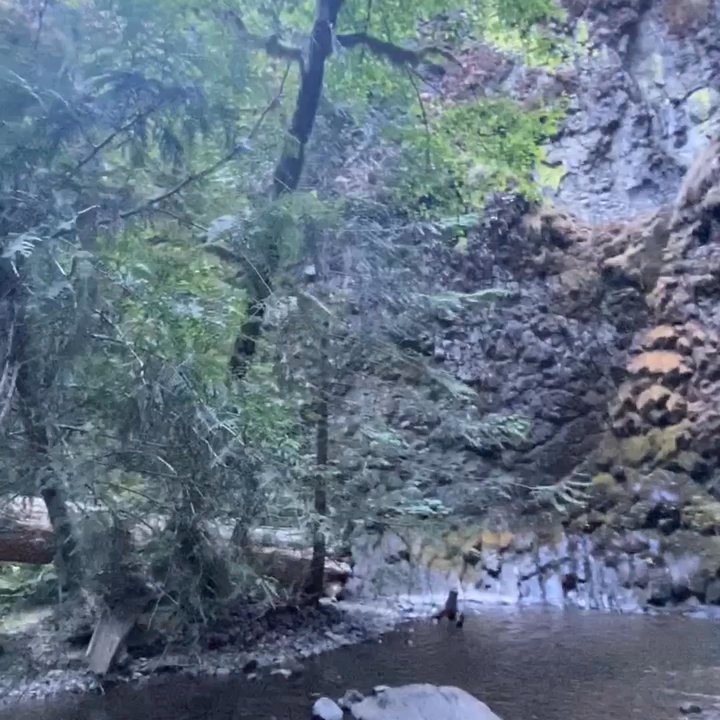 Fall Creek Falls - Fall Creek Falls - Hiking Near Me - Glide, Oregon