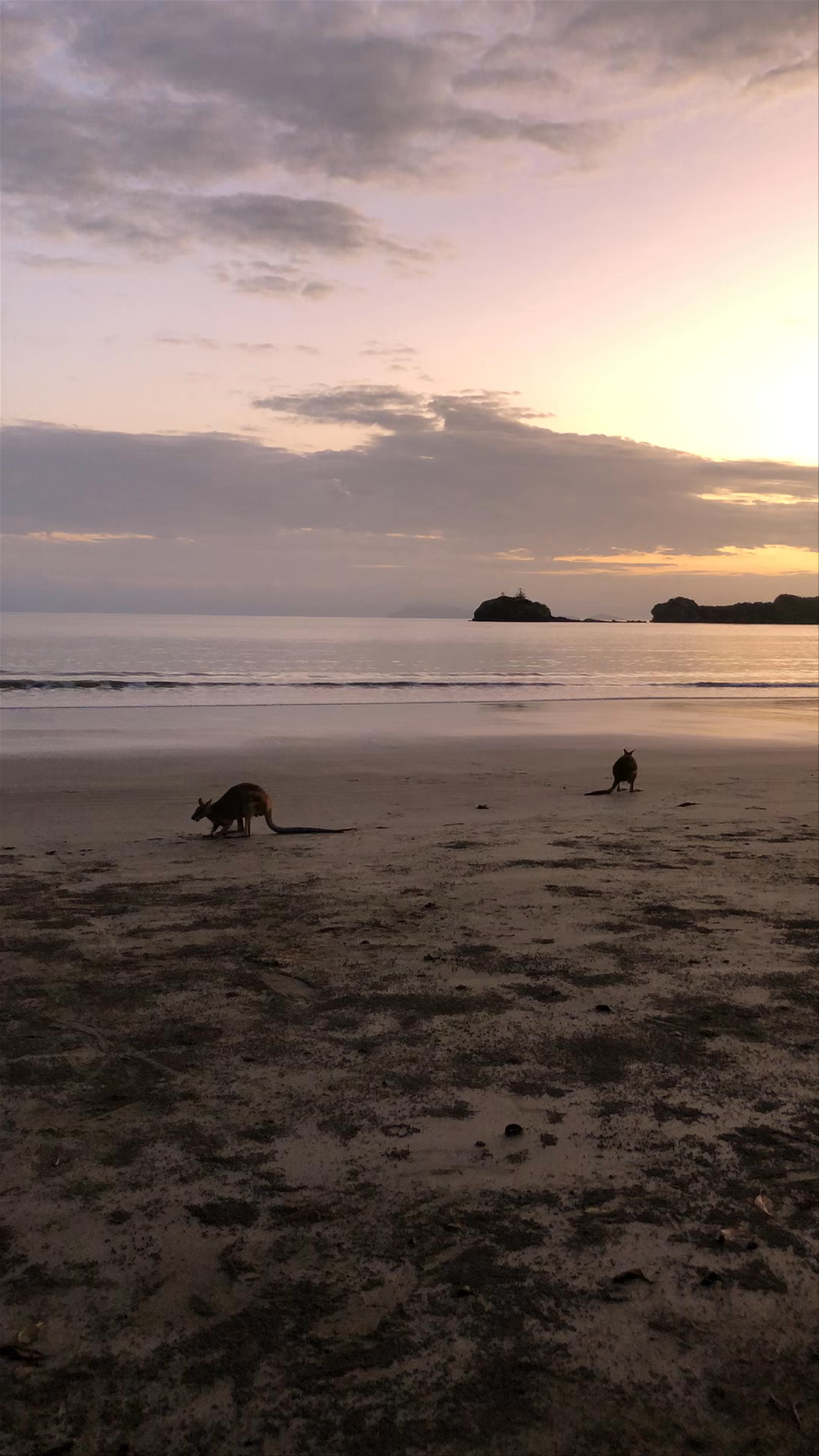 Cape Hillsborough National Park