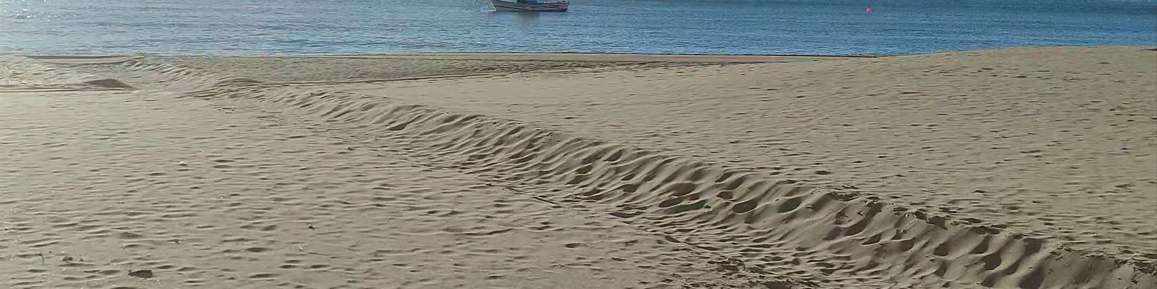 Paseo Marítimo Rey de España