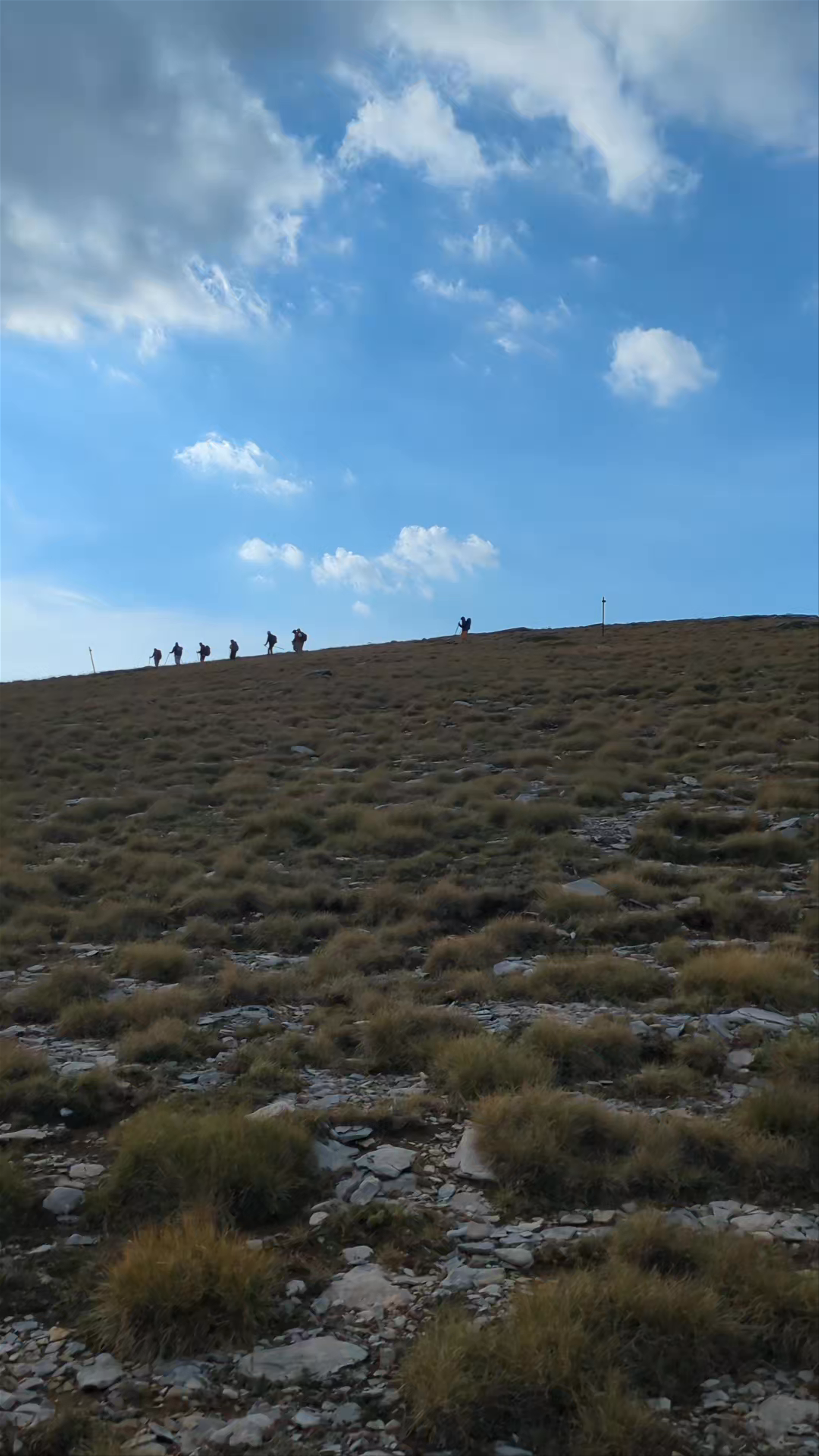 Muses Plateau