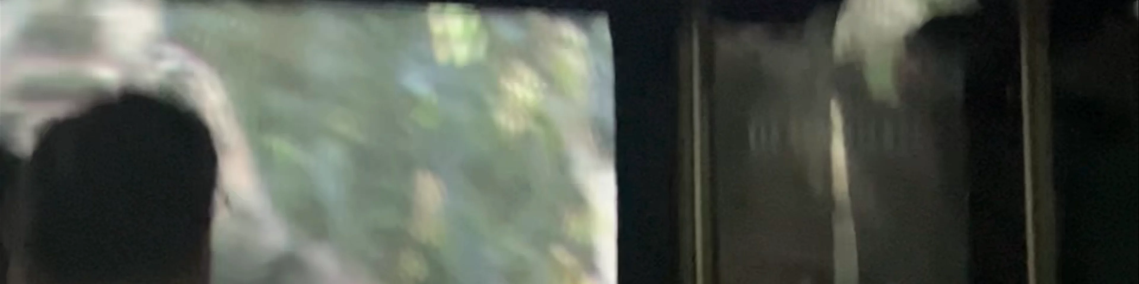 Jurassic World – The Ride
