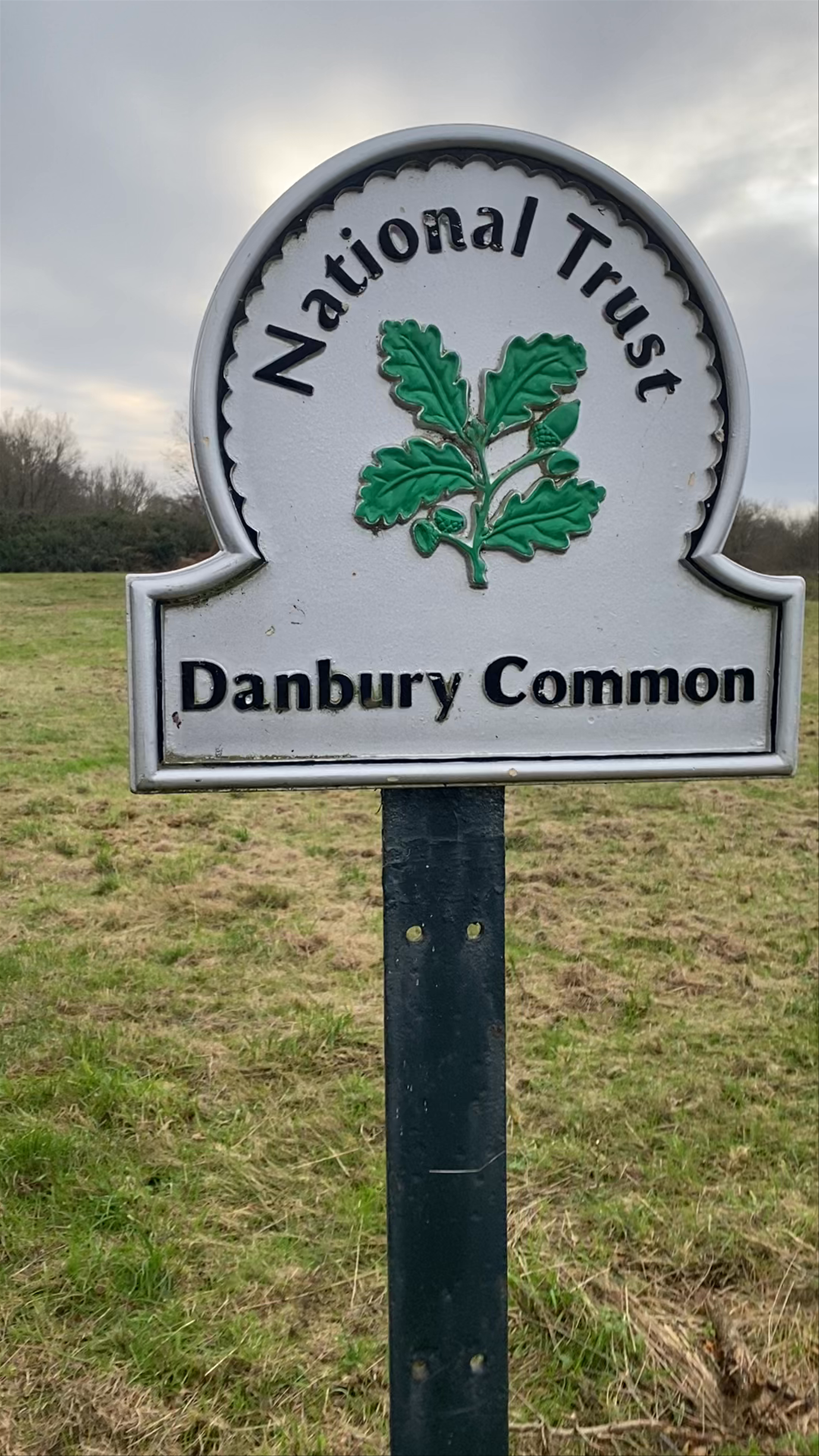 Danbury Common
