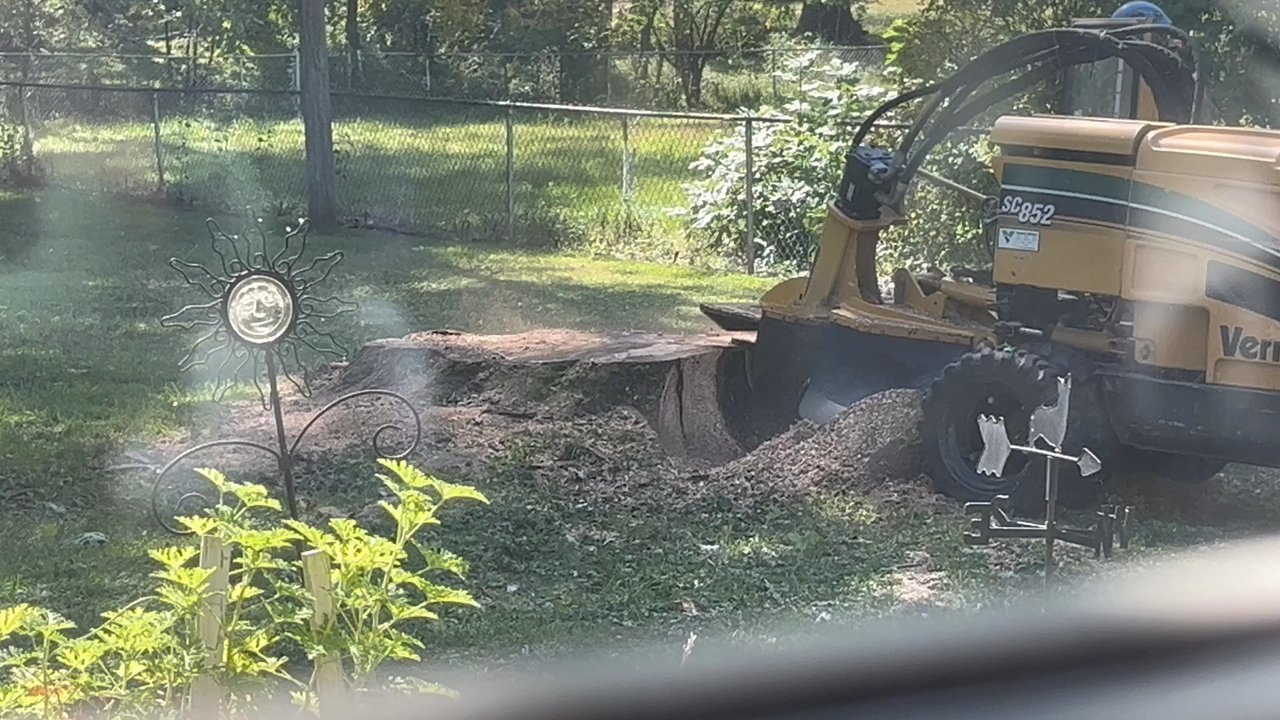 Broad Ripple Tree Service - Snow Removal Near Me - Indianapolis, Indiana