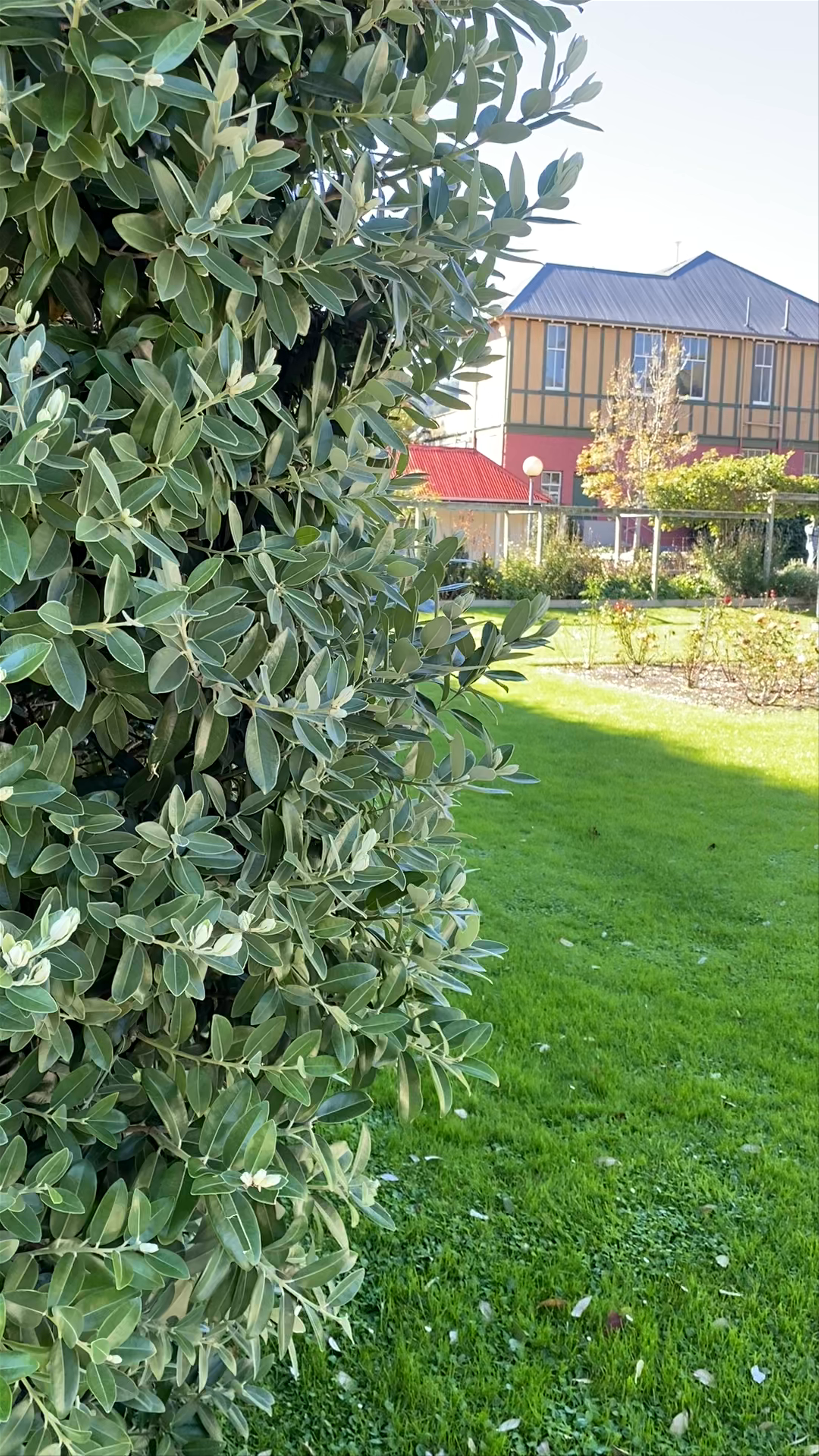 Peninsula War Memorial