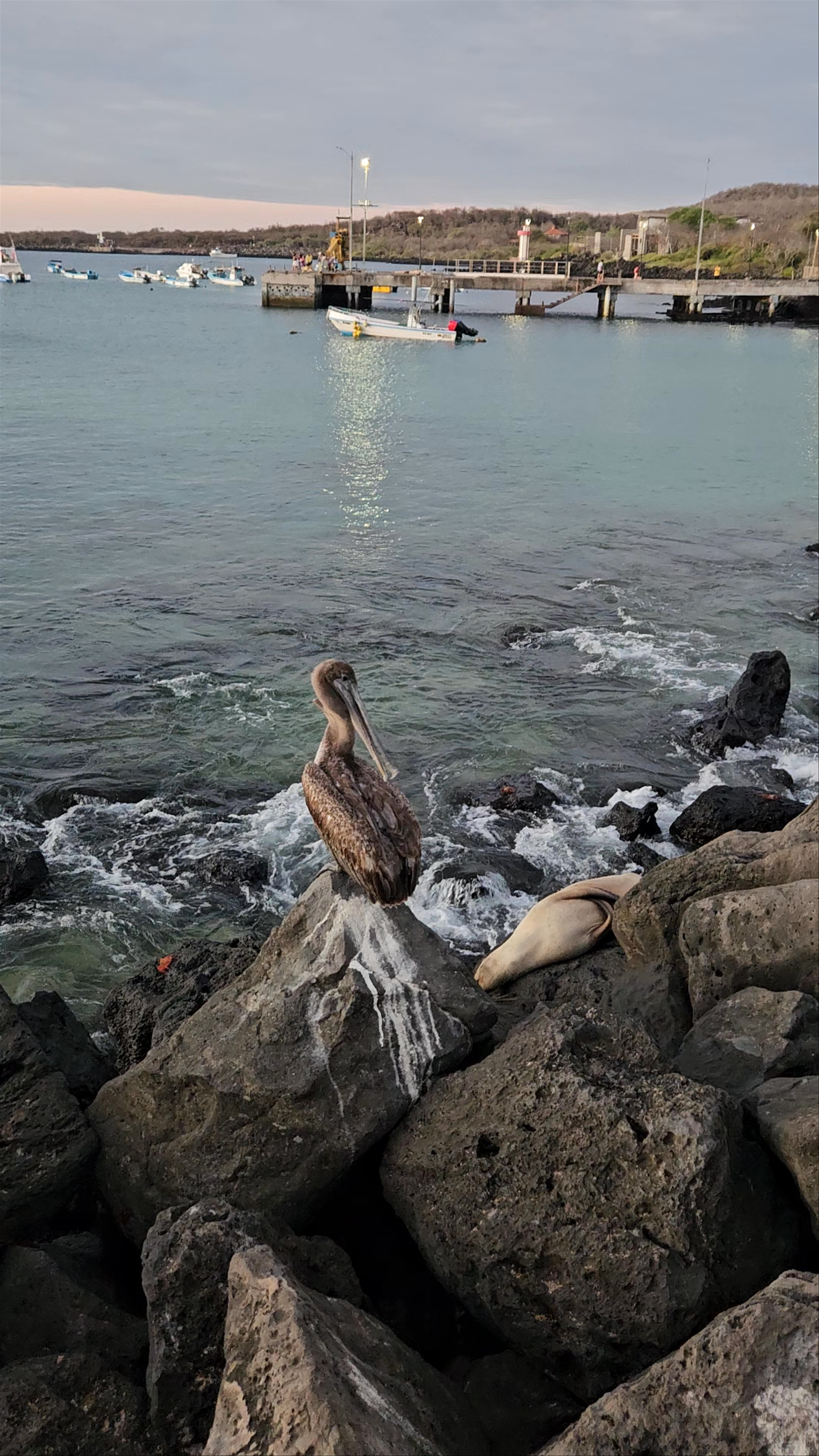 Malecón San Cristobal