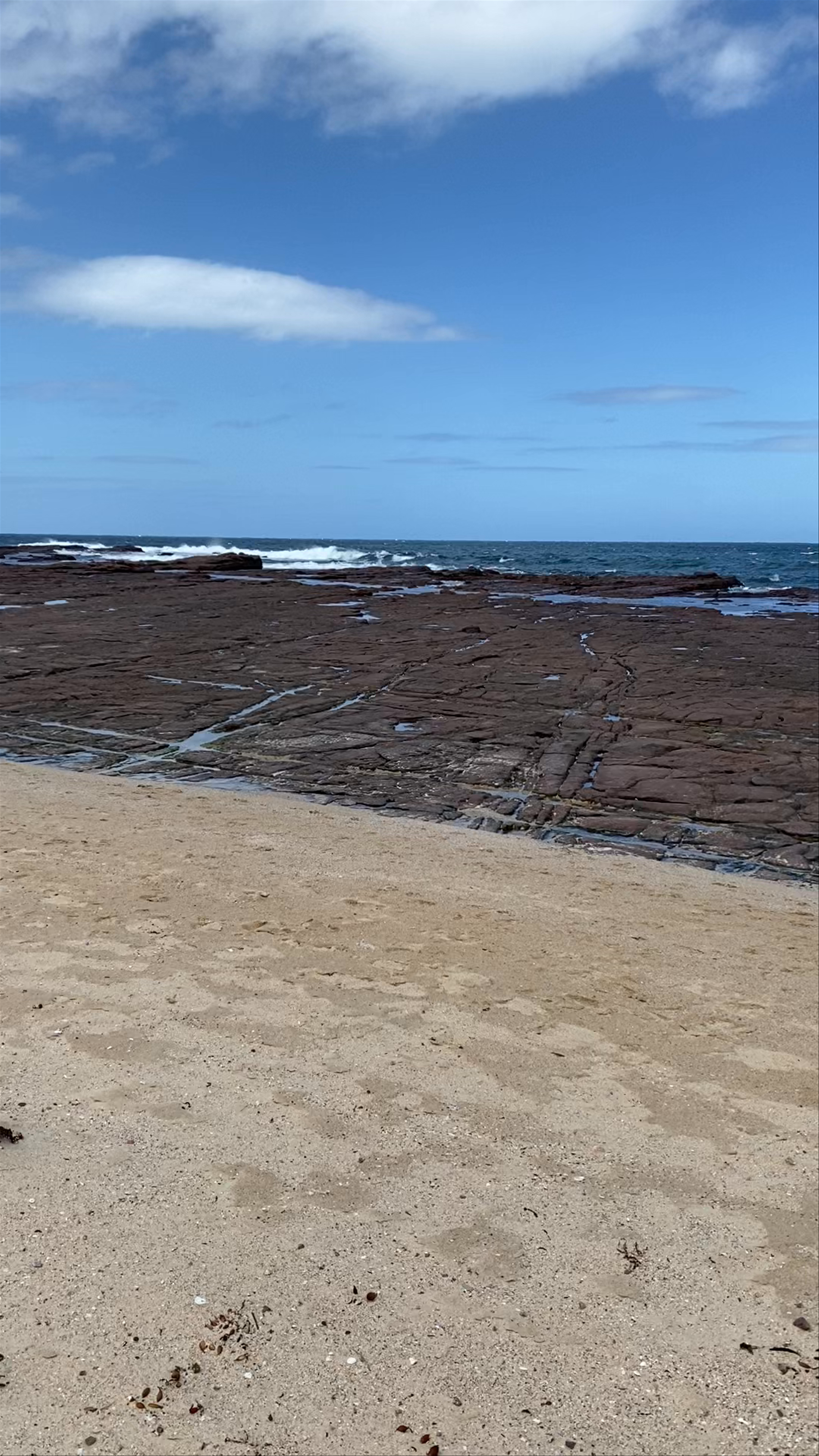 Shellharbour Reserve