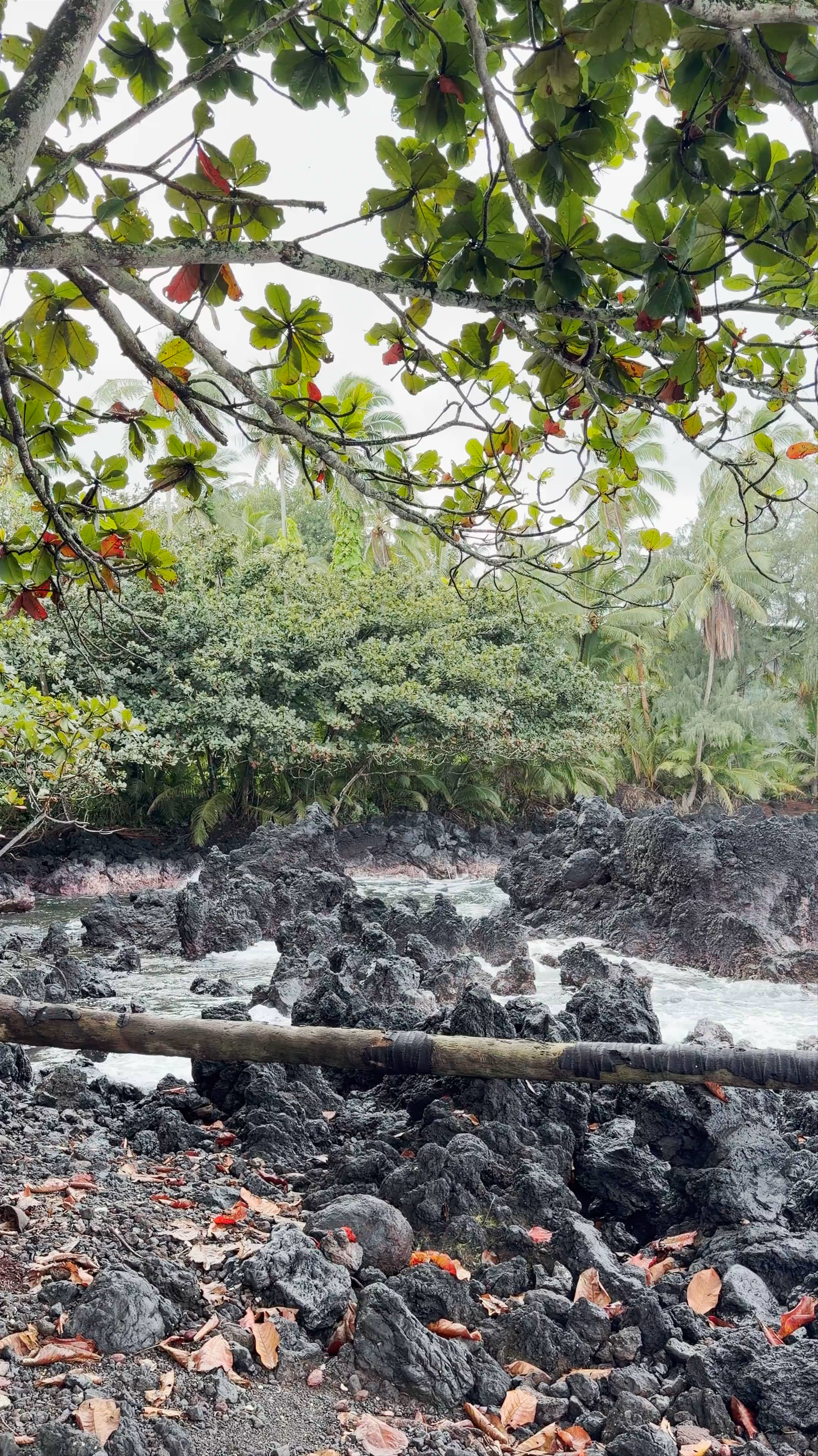 Waiʻānapanapa State Park