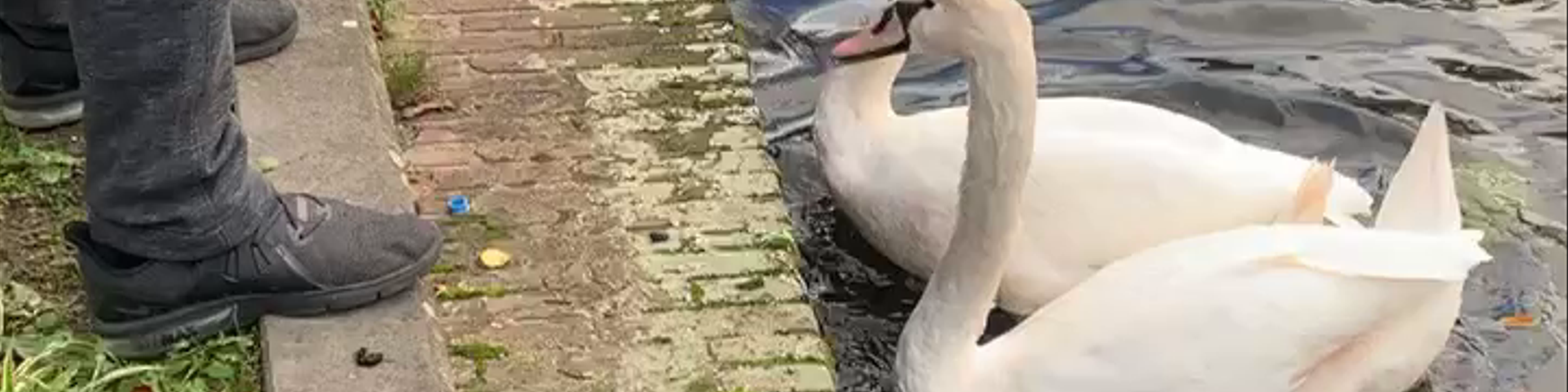 Delft