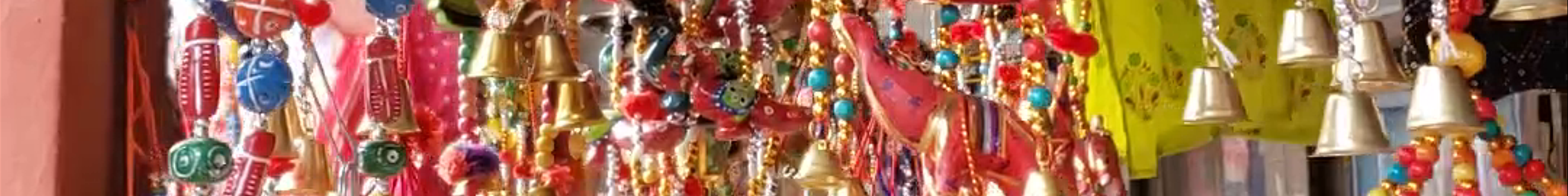 Tours & experiences in India