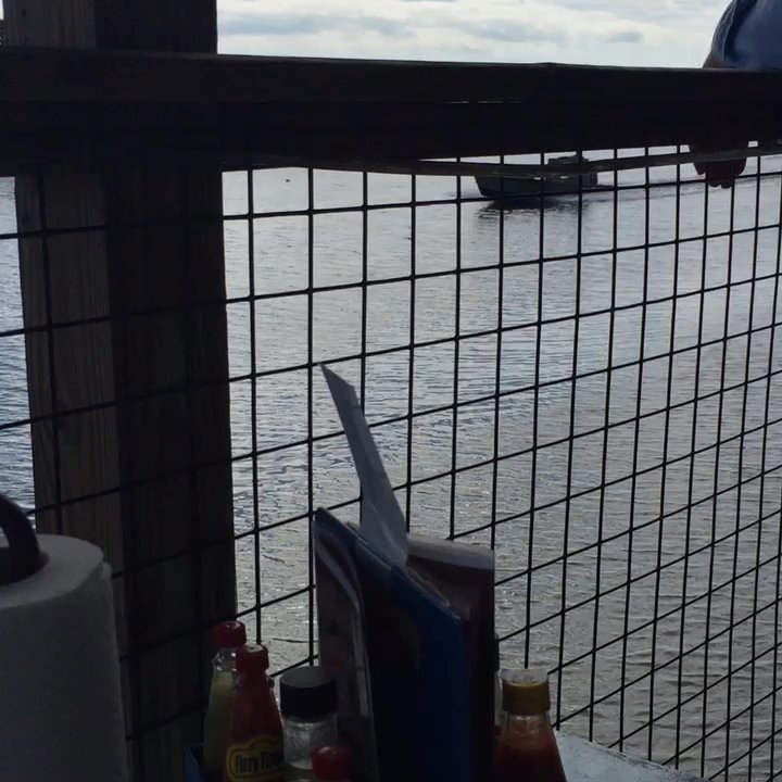 Lynn's Quality Oysters - View from back deck at Lynn's - Seafood Markets Near Me - Eastpoint, Florida