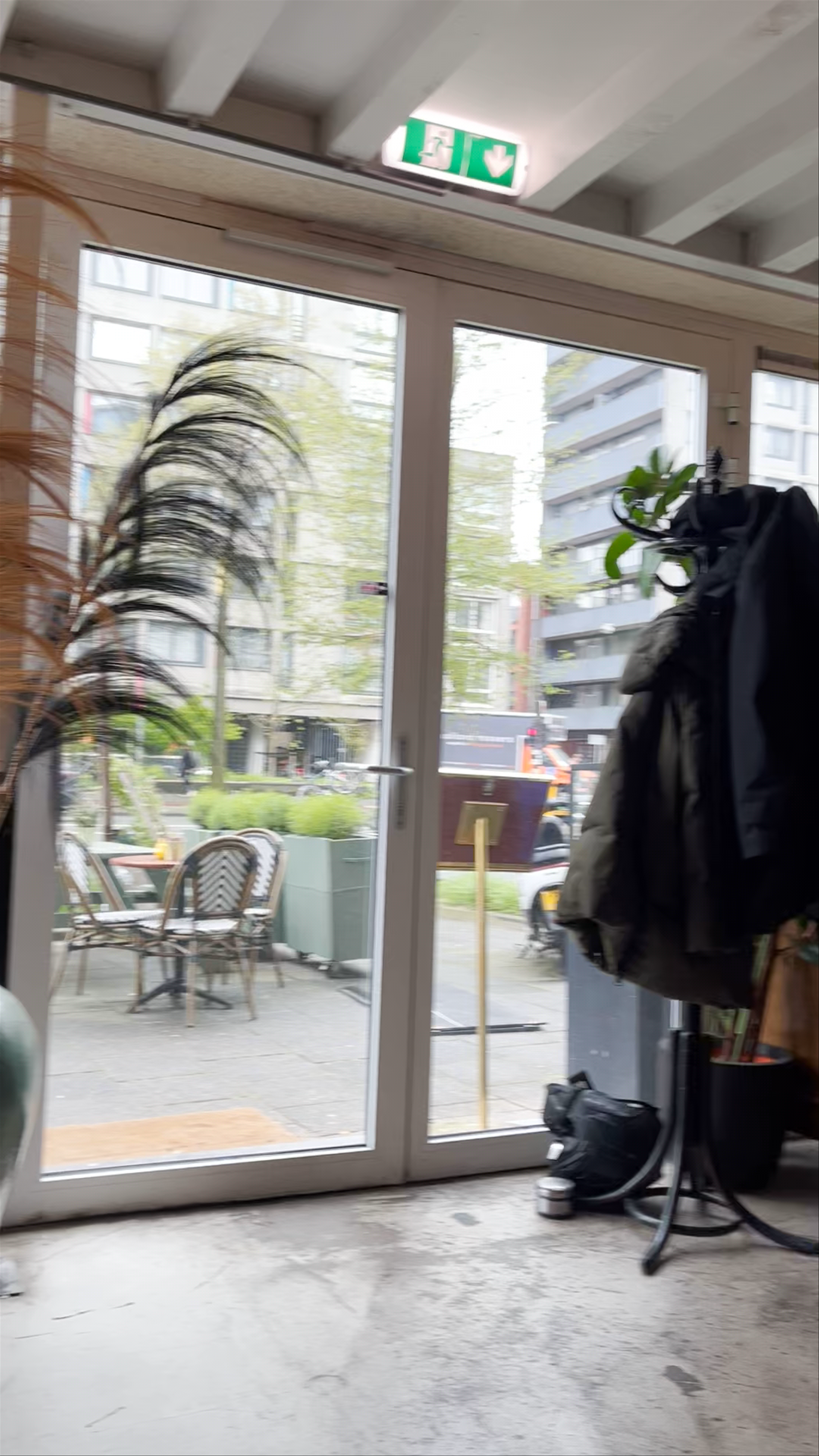 Petit Lou: Cozy Urban Café Vibes in Amsterdam