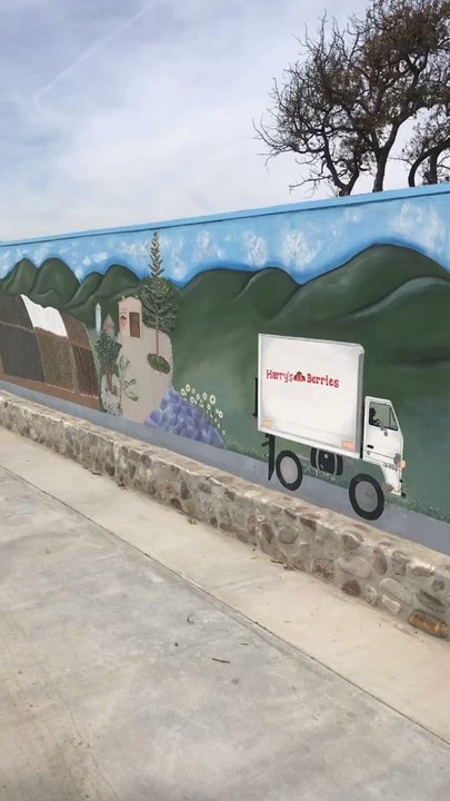 Harry’s Berries - Cute driveway - Farmers Market Near Me - Oxnard, California