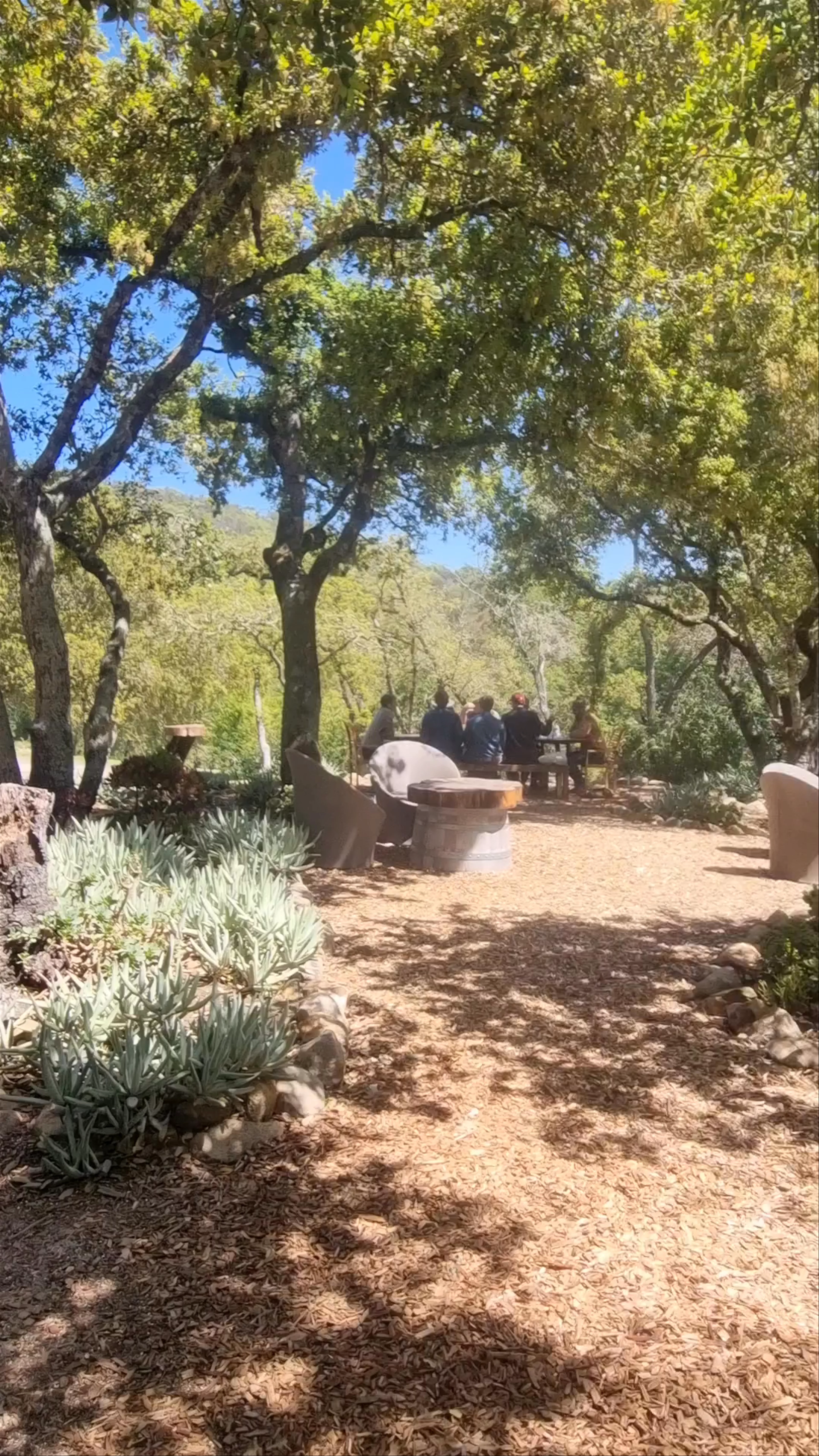 Bartholomew Estate Winery