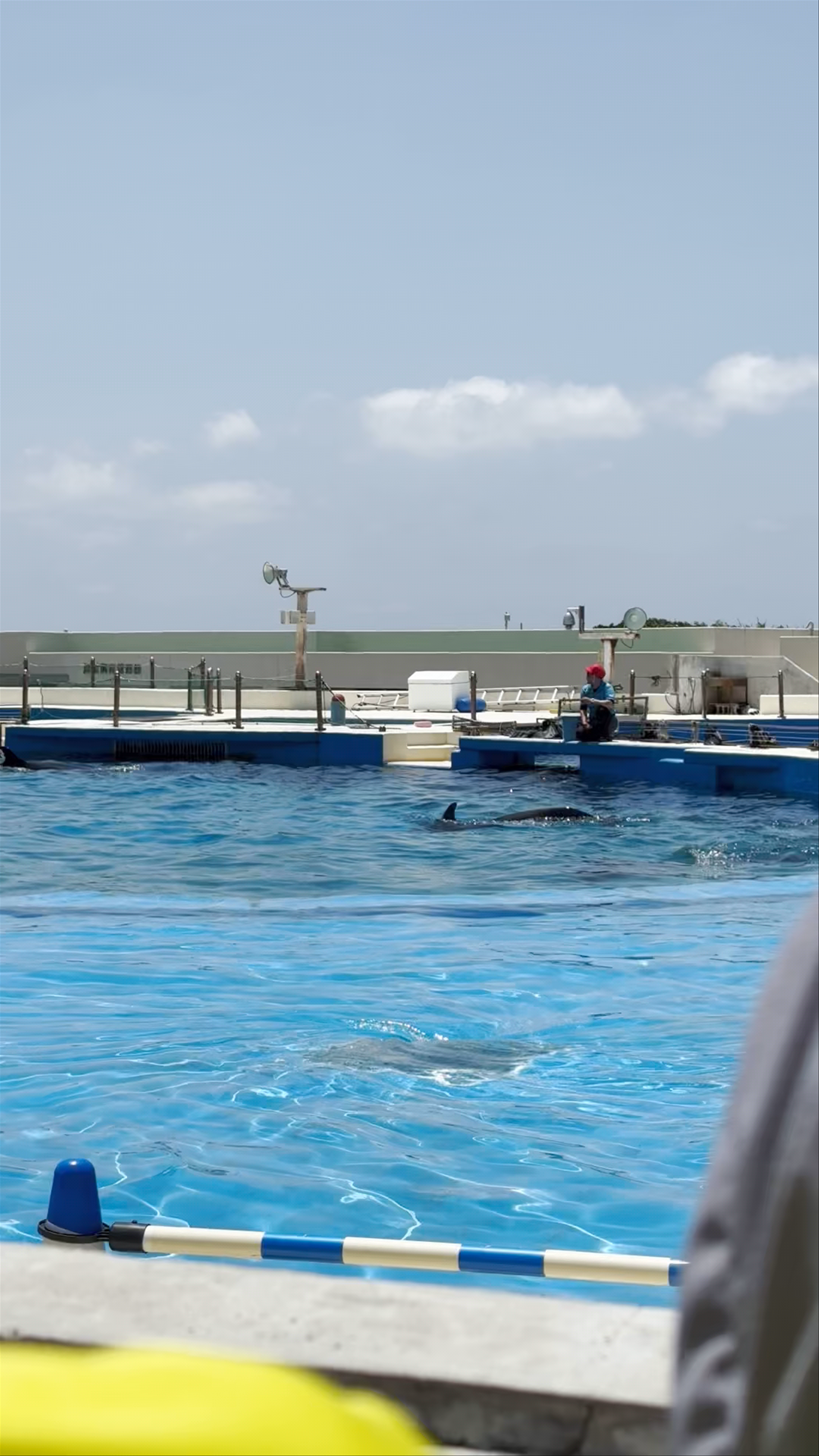Okinawa Churaumi Aquarium
