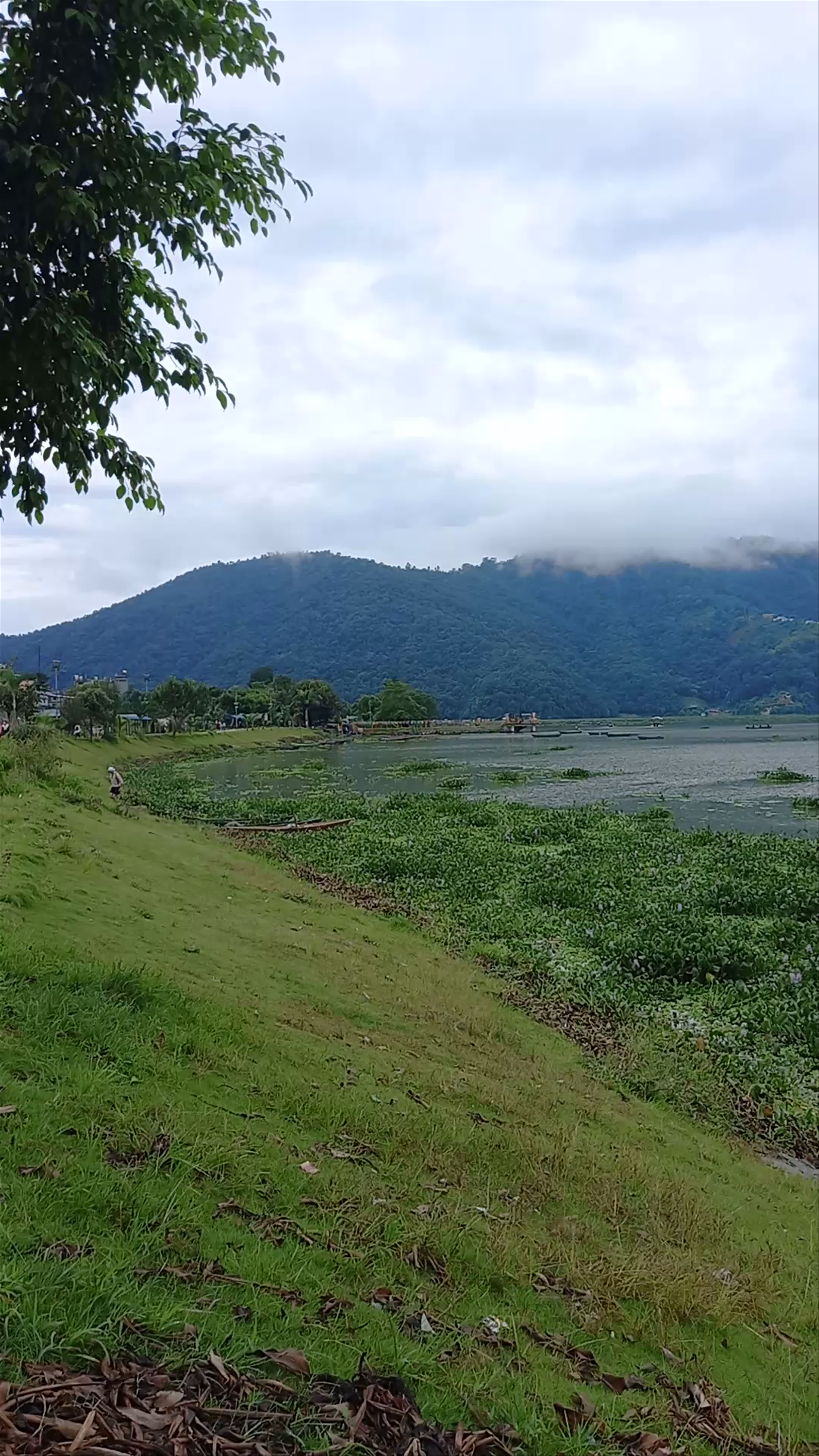 Tranquil Lakeside Views at Sibani Khaja Ghar Restaurant, Pokhara