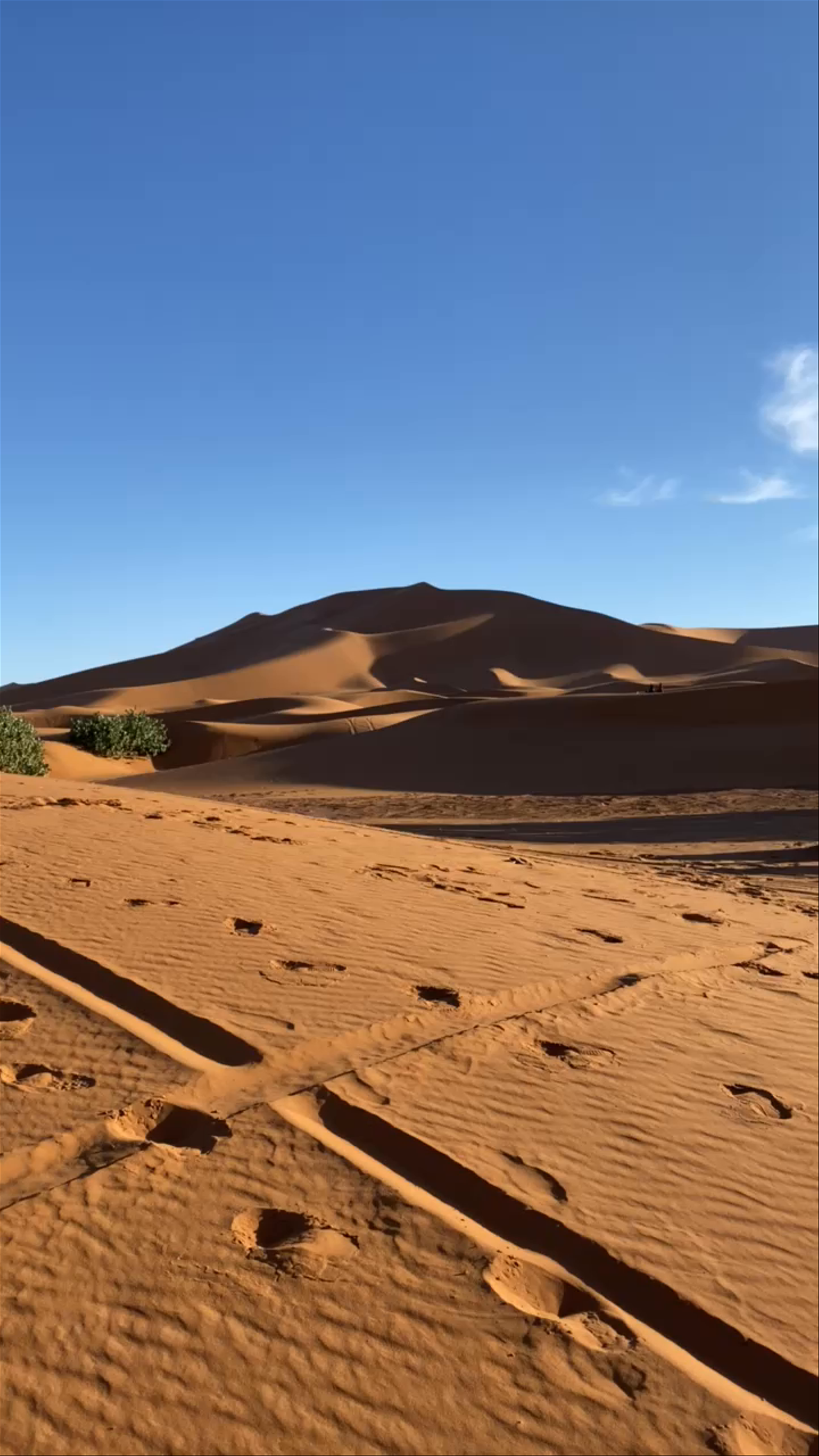 Merzouga desert