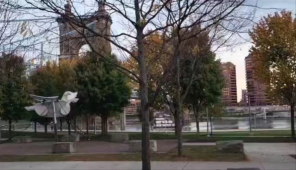 Video thumbnail 10 more videos