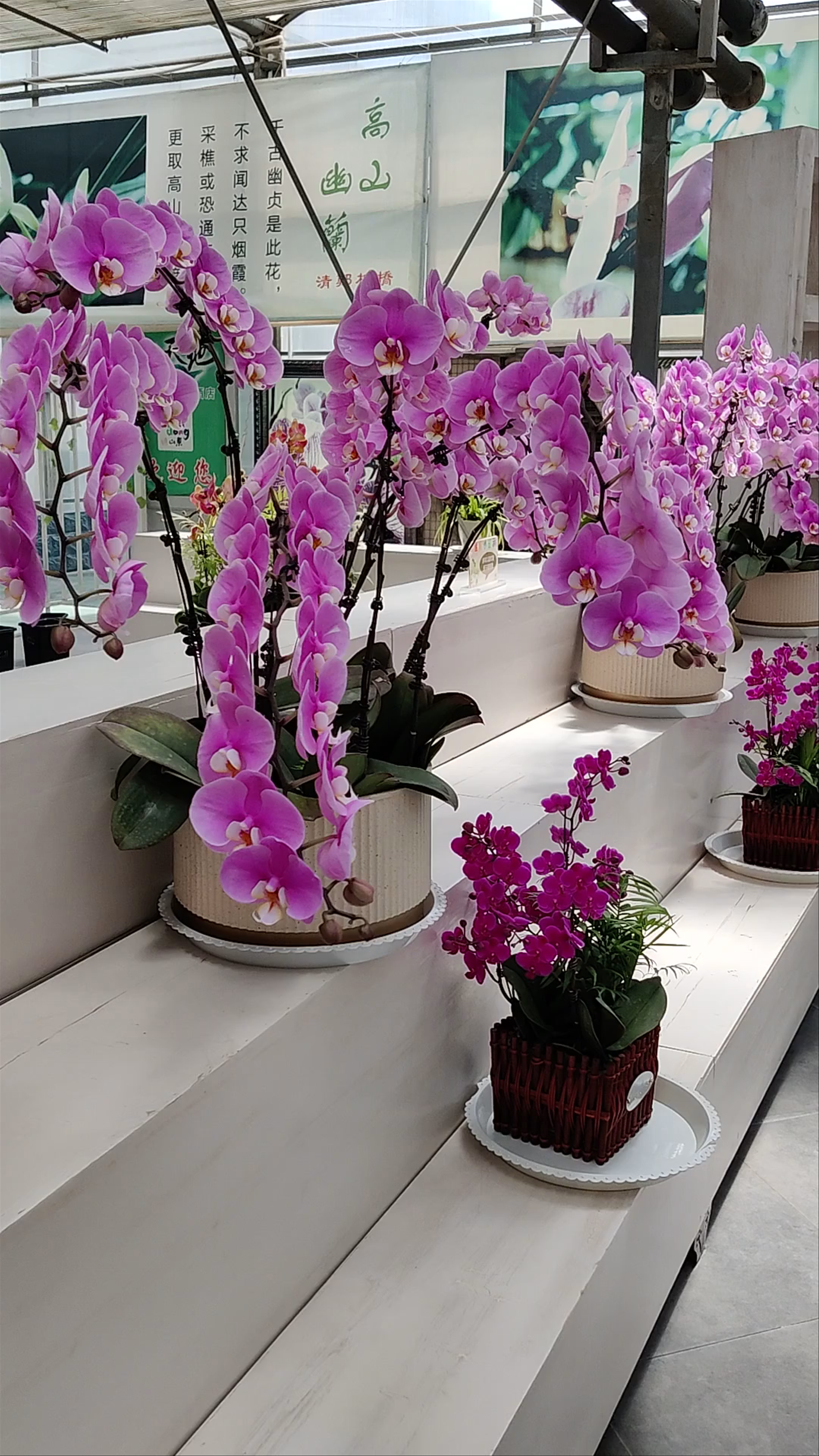 Lanling National Agricultural Park