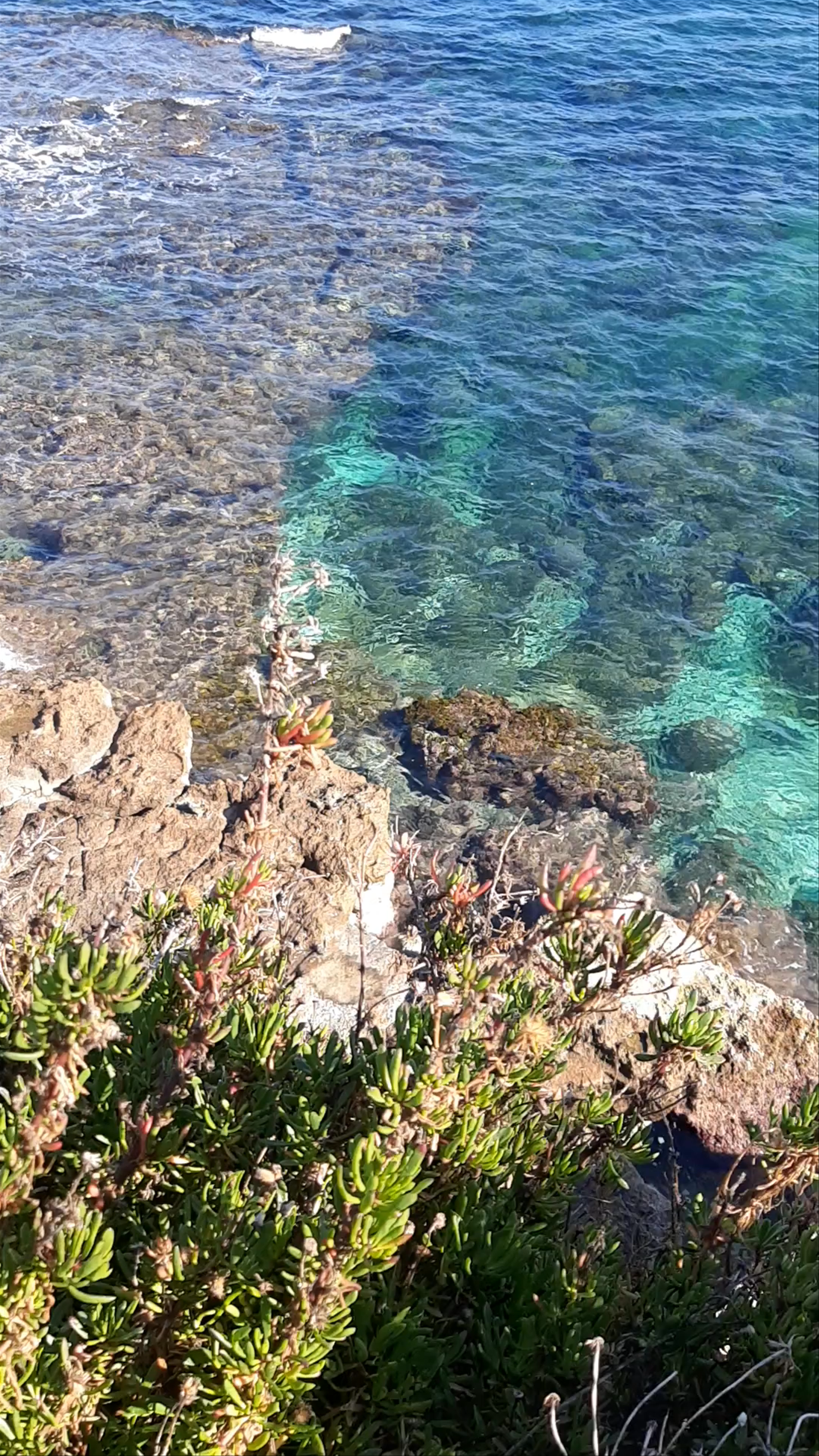 Affaccio "Enzo Maiorca"