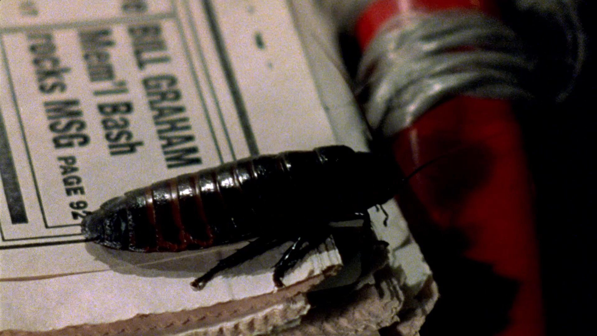 A man experiences sudden distress upon discovering a large cockroach crawling across a newspaper in an urban setting. He observes the insect with palpable apprehension as it traverses the paper surface.