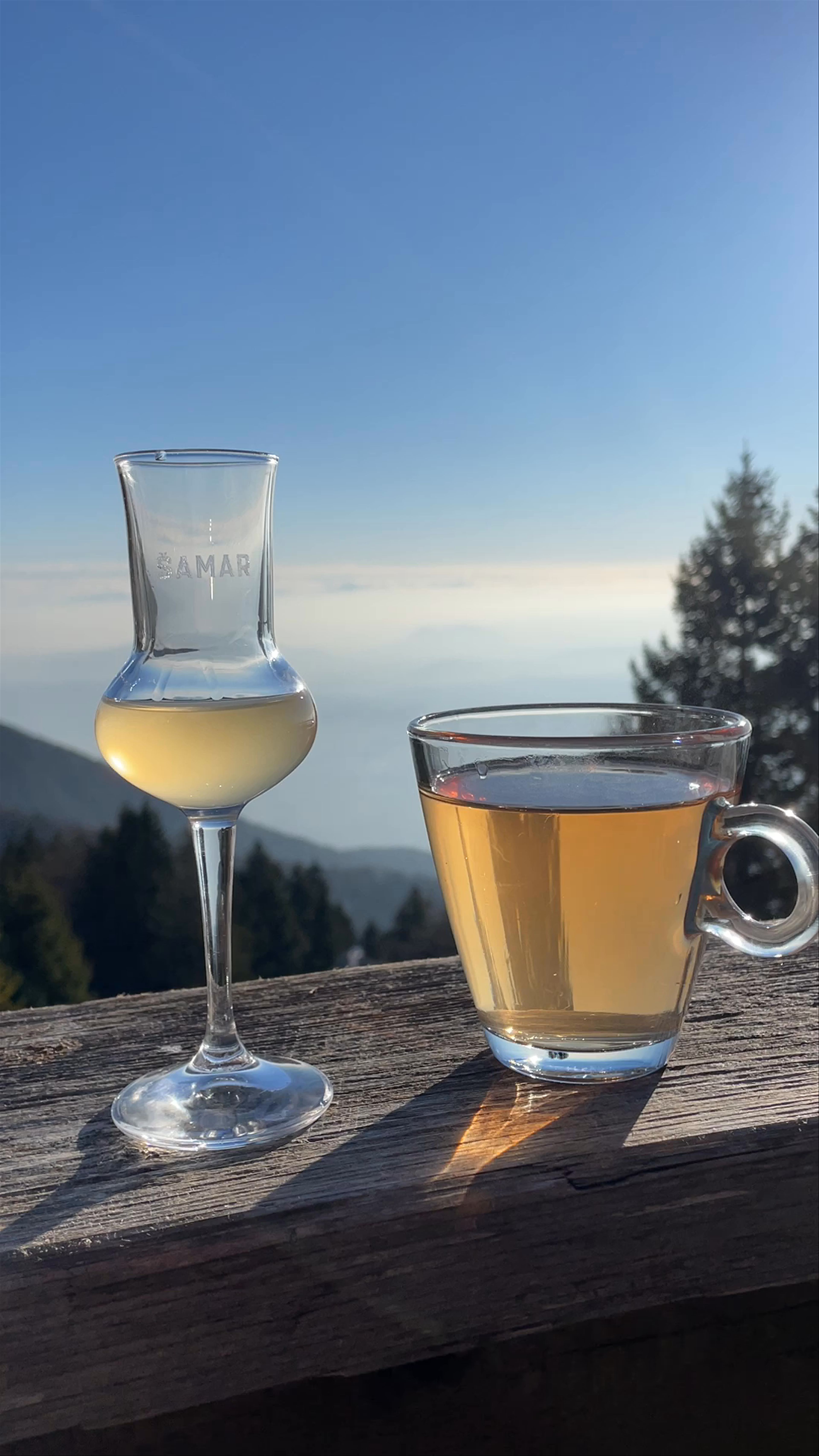 Accommodation and Restaurant Tia