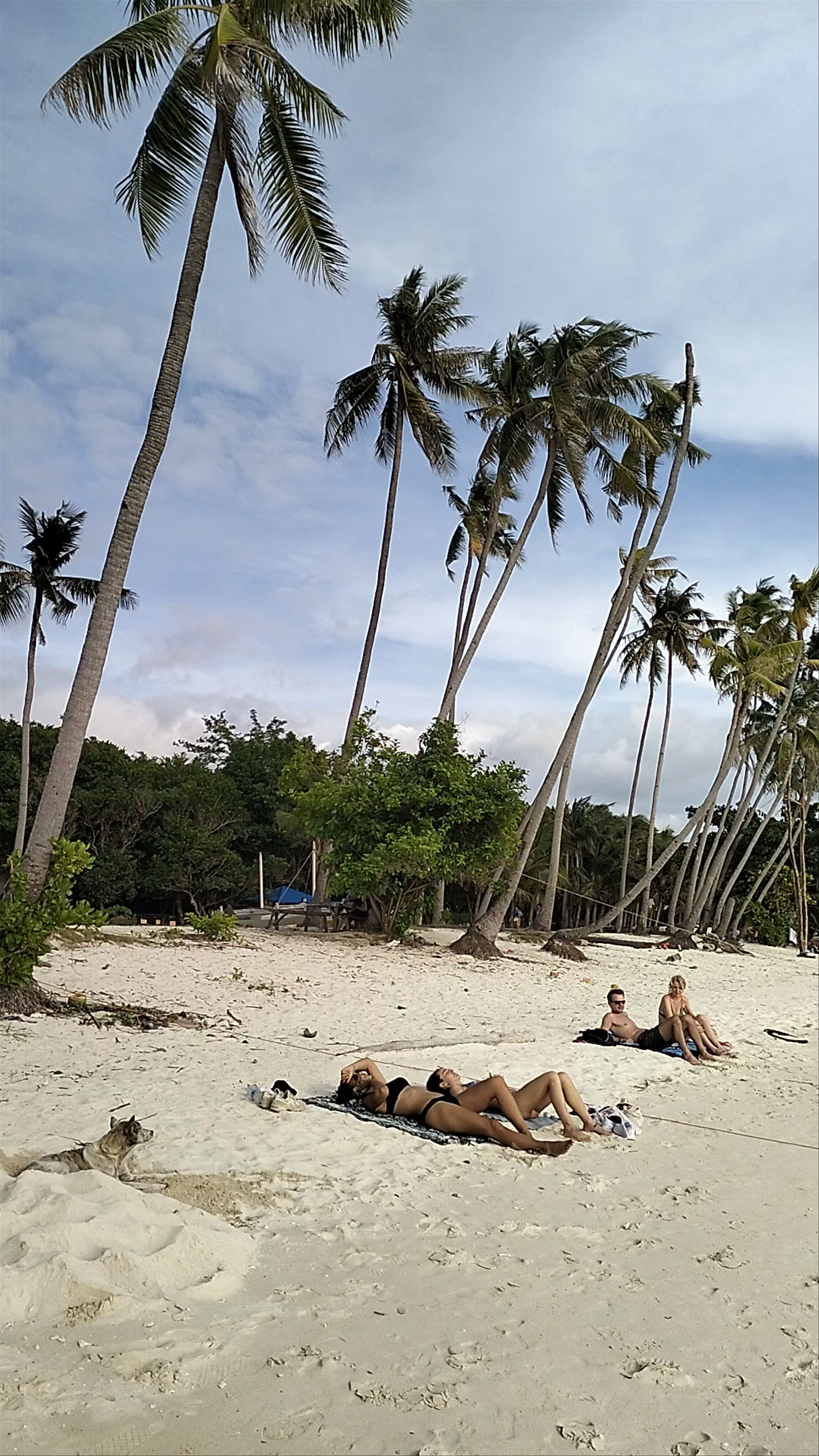 Serene Escape at Mervi Beach, Siquijor