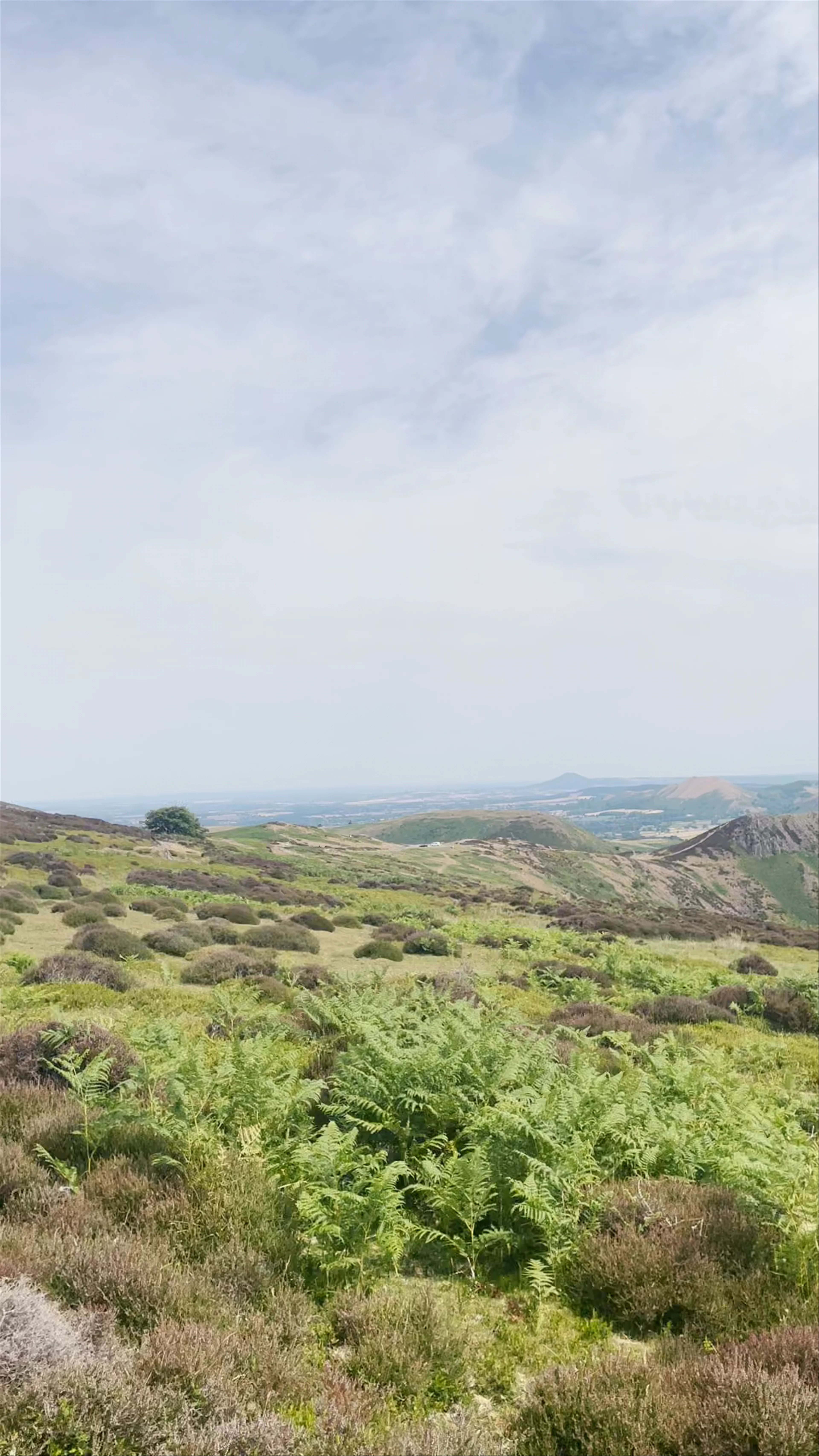 Carding Mill Valley