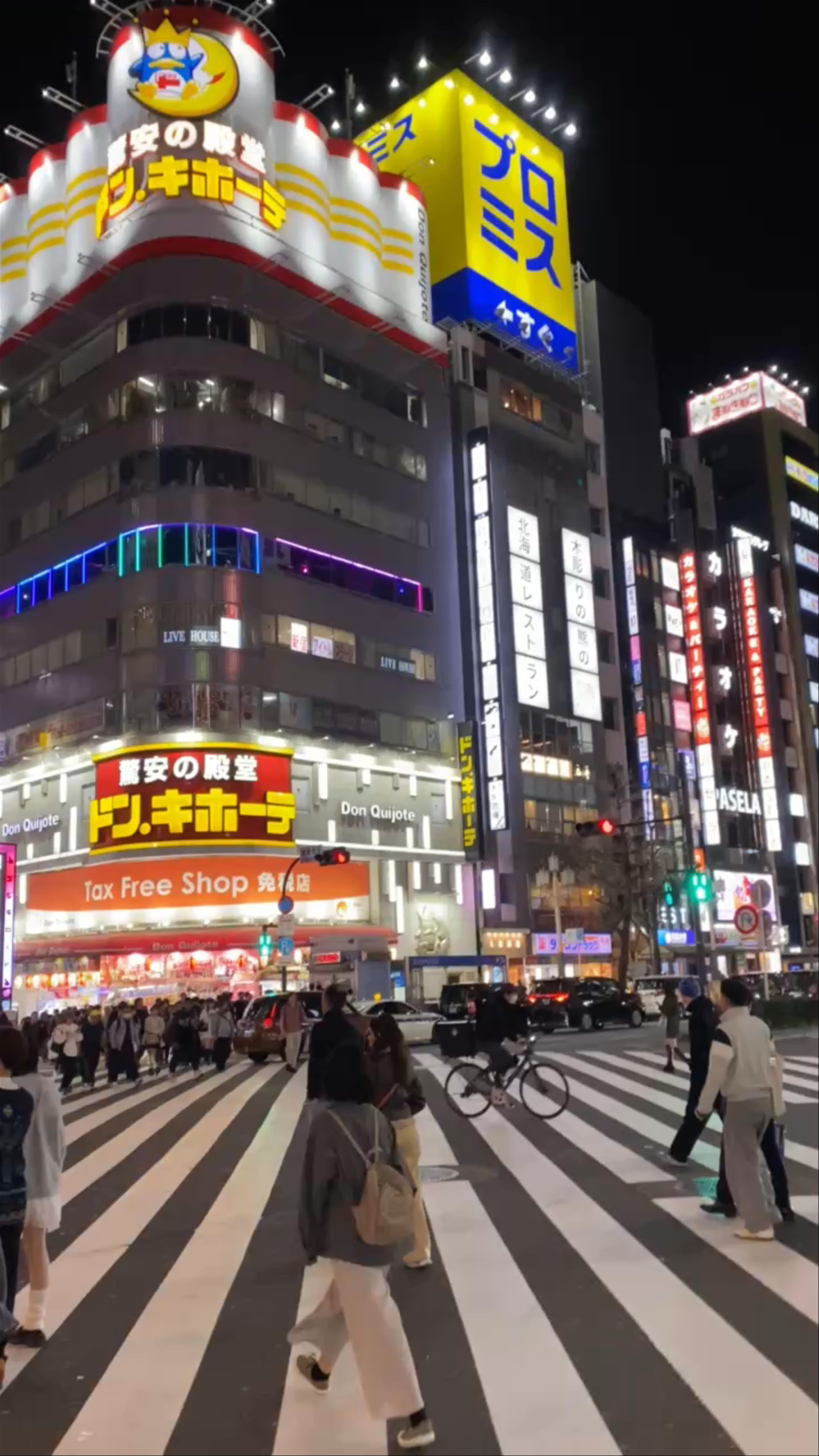 Nightlife Buzz at Kabukicho Theater, Shinjuku Tokyo