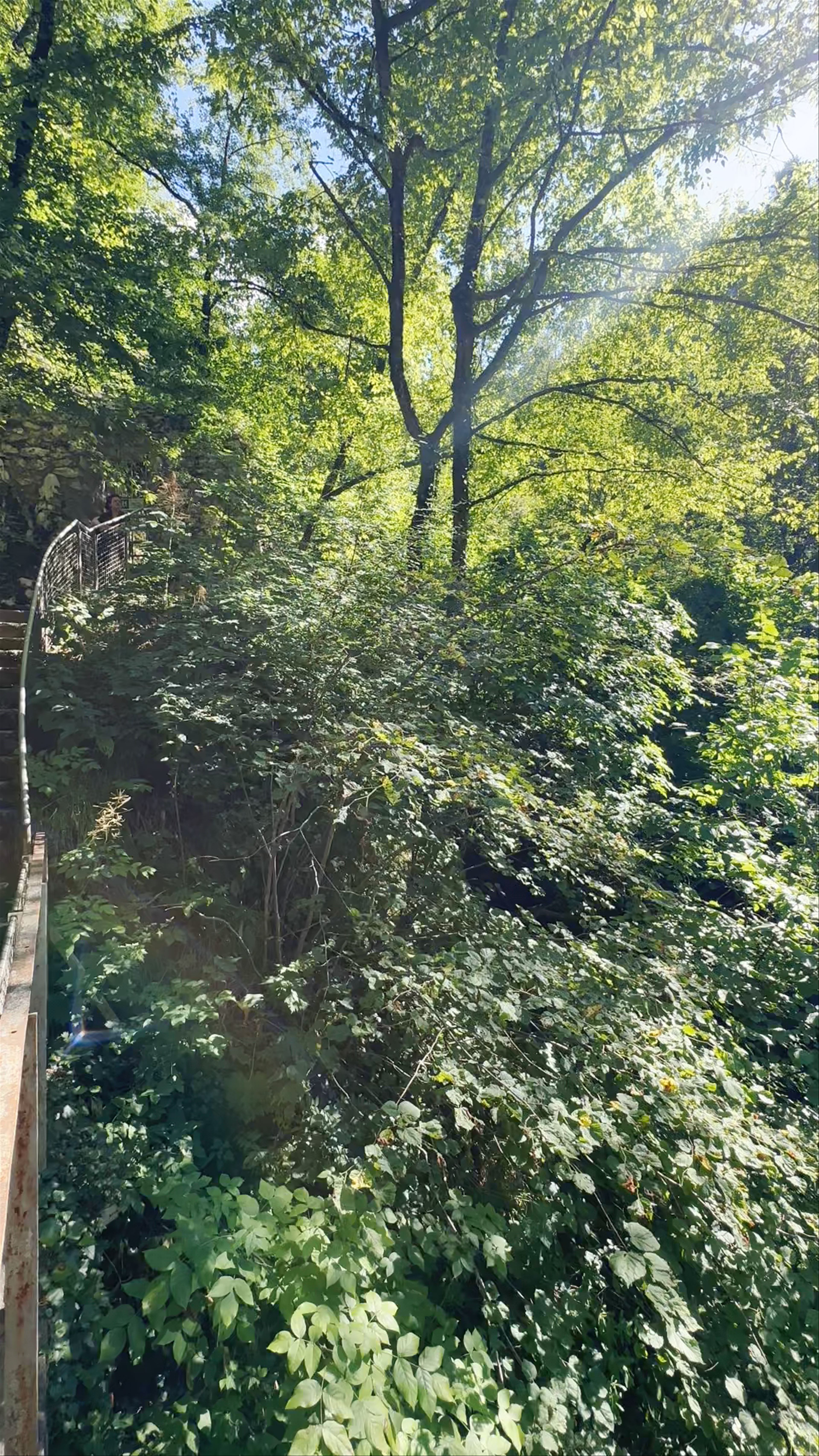 Regijski park Škocjanske jame