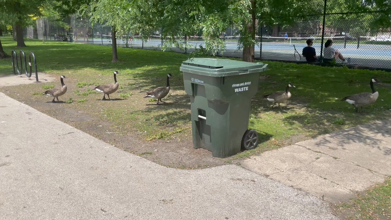 Mckinley Park - Parks Near Me - Chicago, Illinois