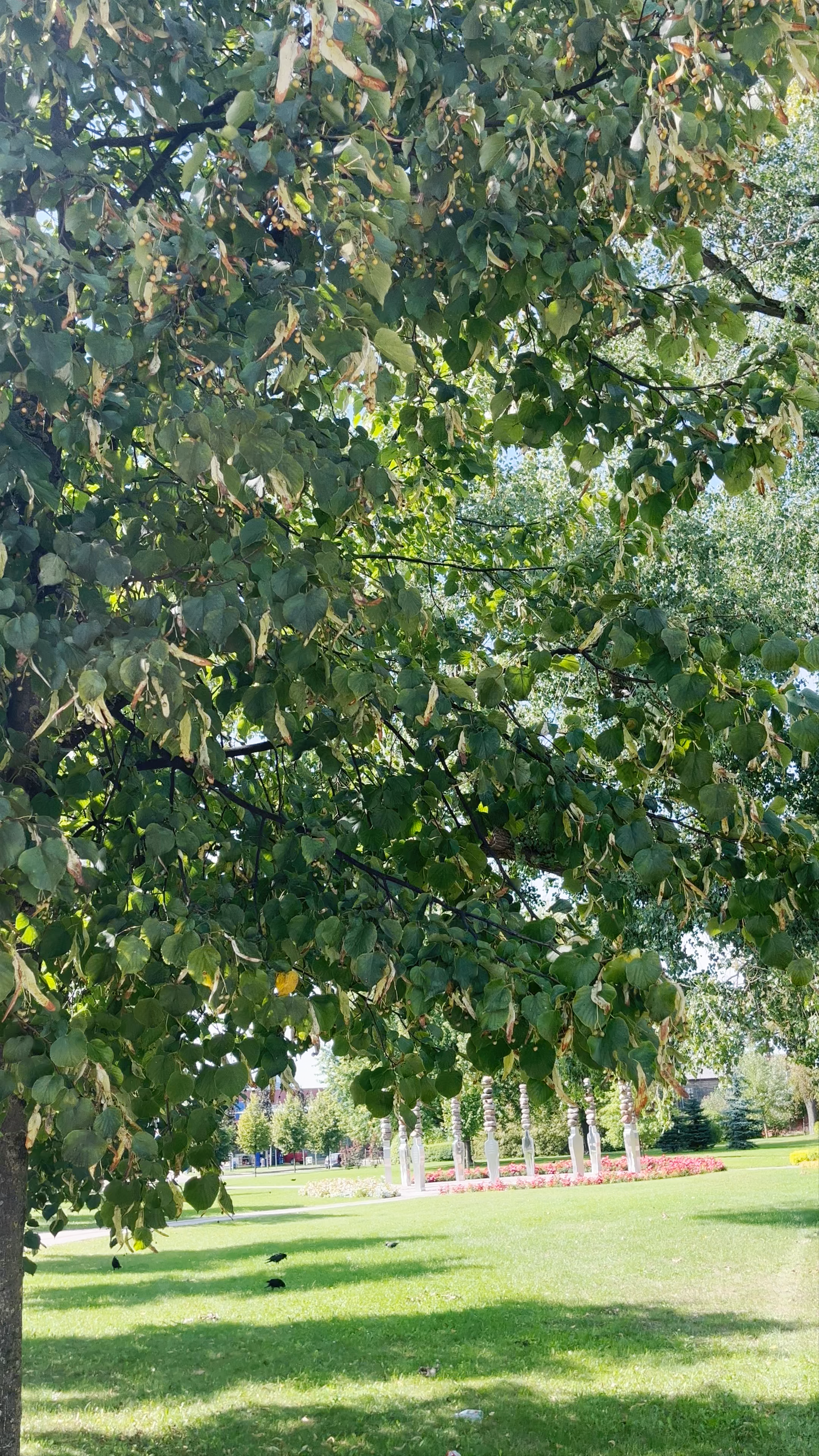 Peaceful Urban Green Escape in Jelgava, Latvia